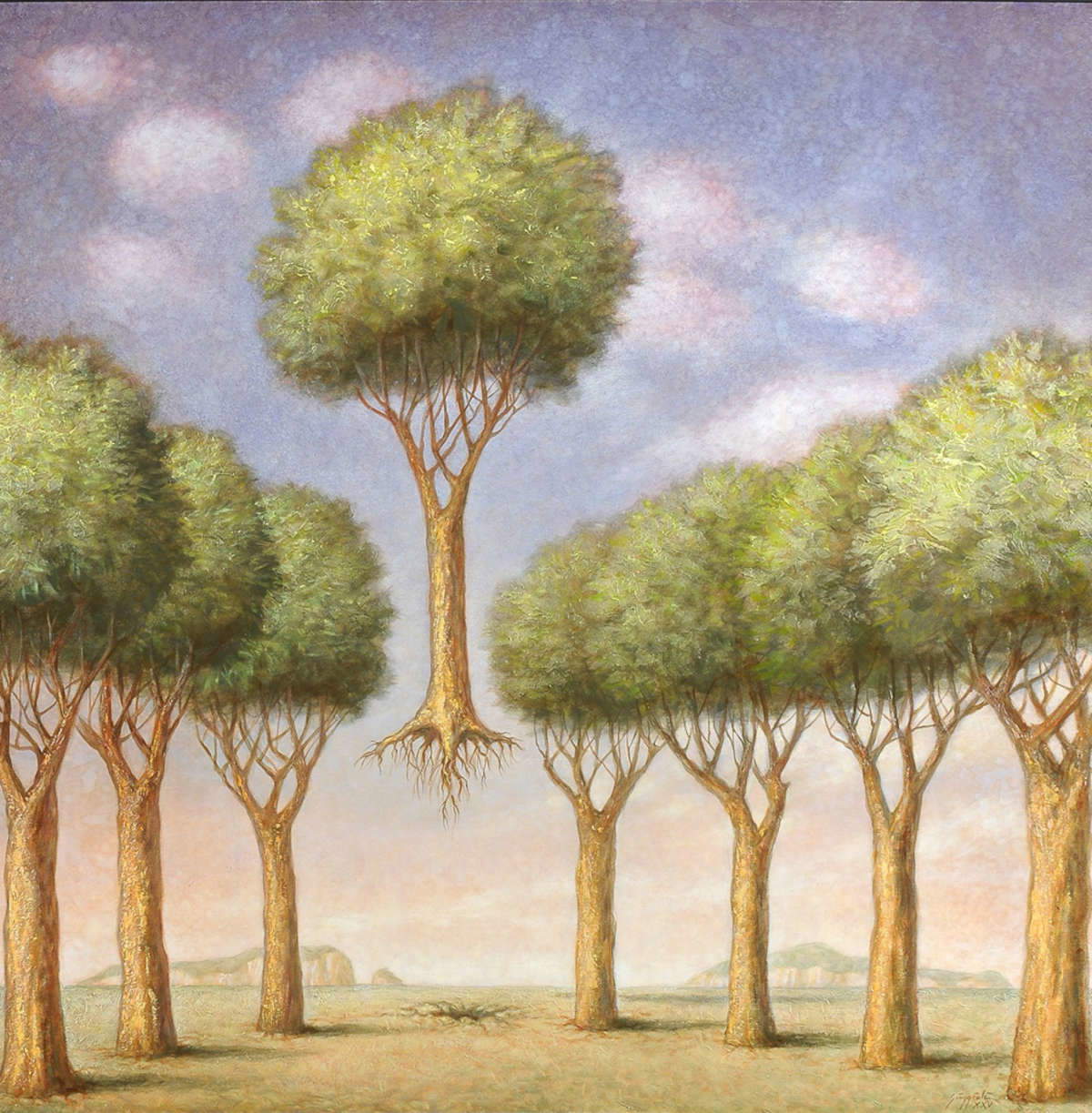 Opera di Giuliano Giuggioli