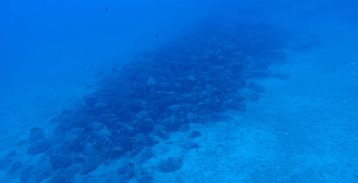 Greece: Ancient Shipwreck Containing Over 600 Trade Amphorae Discovered on Andros