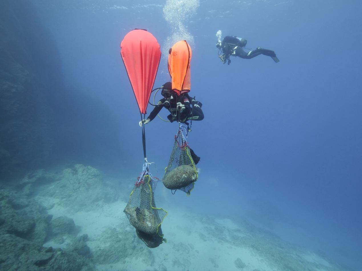 Recovery of objects from the KT3 wreck area. Photo: S. Apostolopoulos - Ministry of Culture of Greece