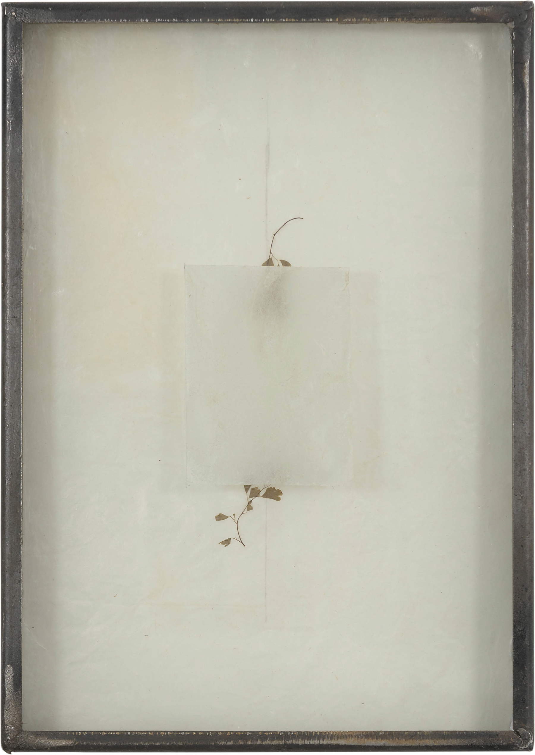 Gregorio Botta, Untitled (2020; tissue paper, wax, natural elements, ink, glass, iron), 35 x 25 x 8 cm. Photo: Galleria Studio G7