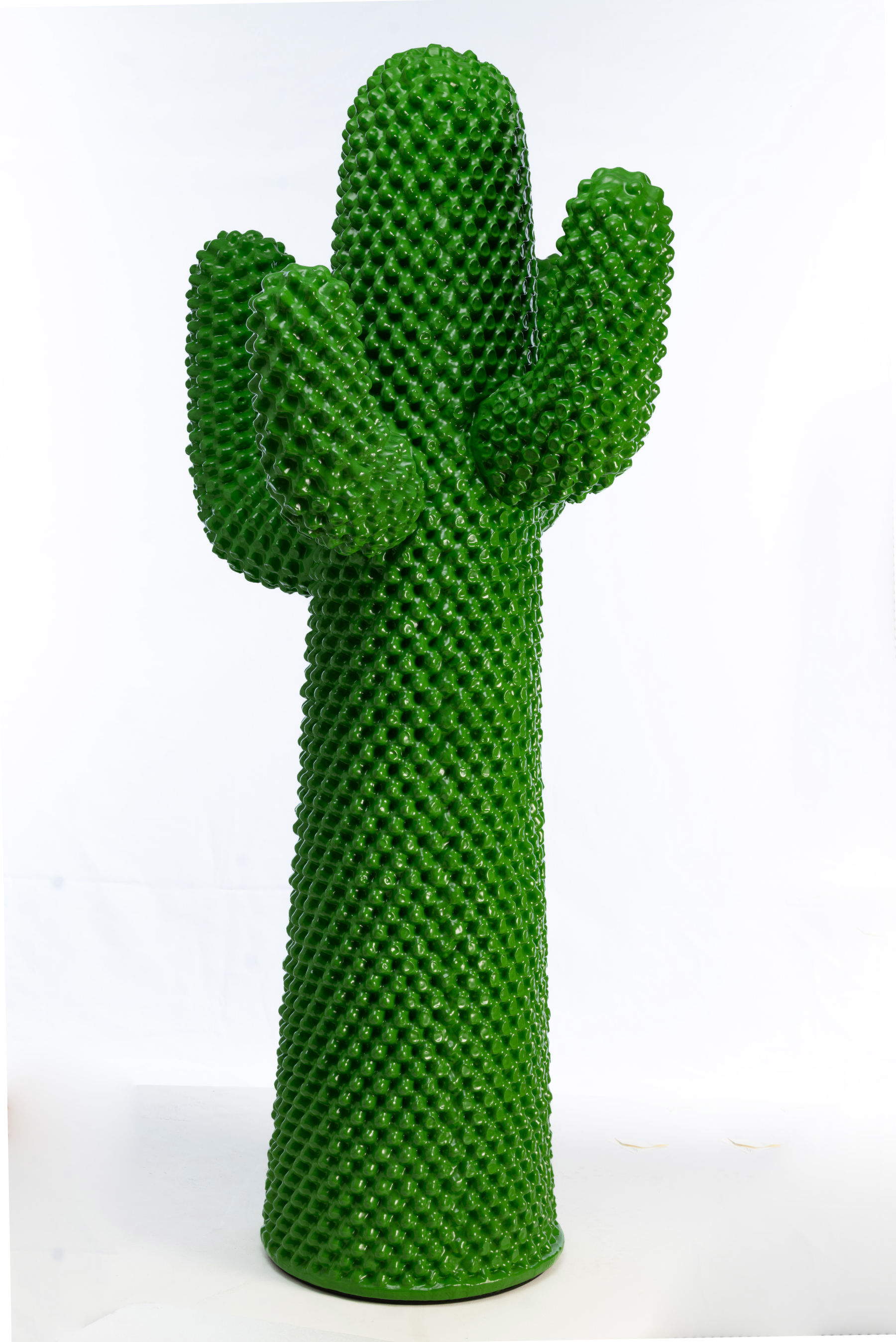 GUFRAM, Cactus (Provincial Museums of Gorizia, ERPAC FVG). Photo by Luigi Vitale