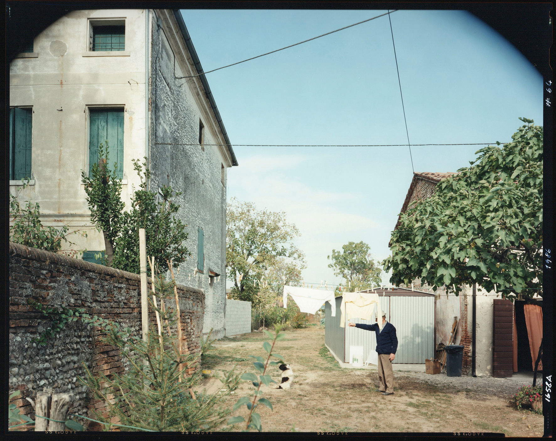 Guido Guidi, Castagnole (1986)