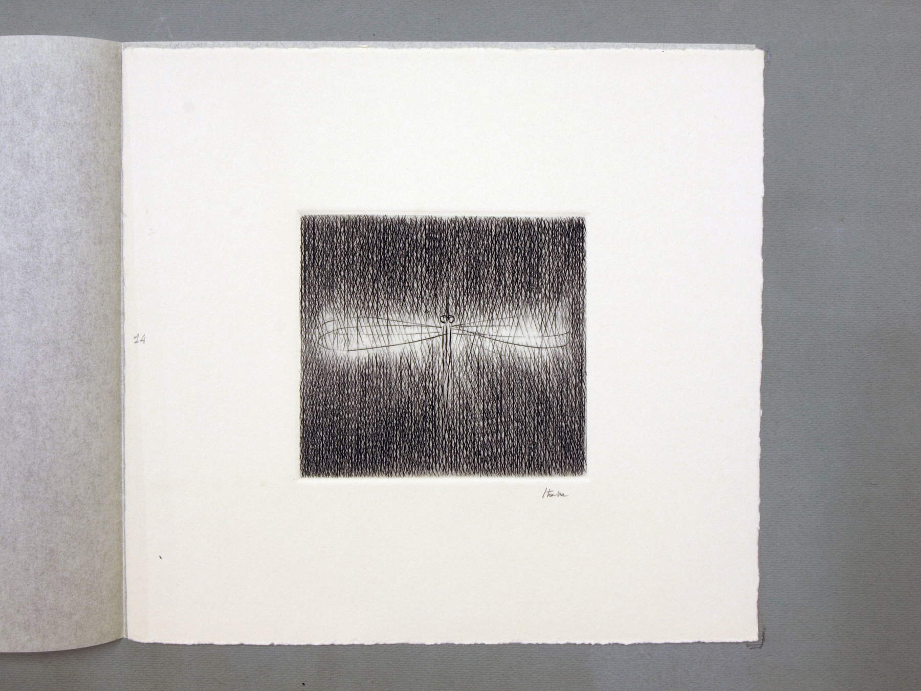 Guido Strazza, Insectos (1980; carpeta de grabados al buril, nº 14)