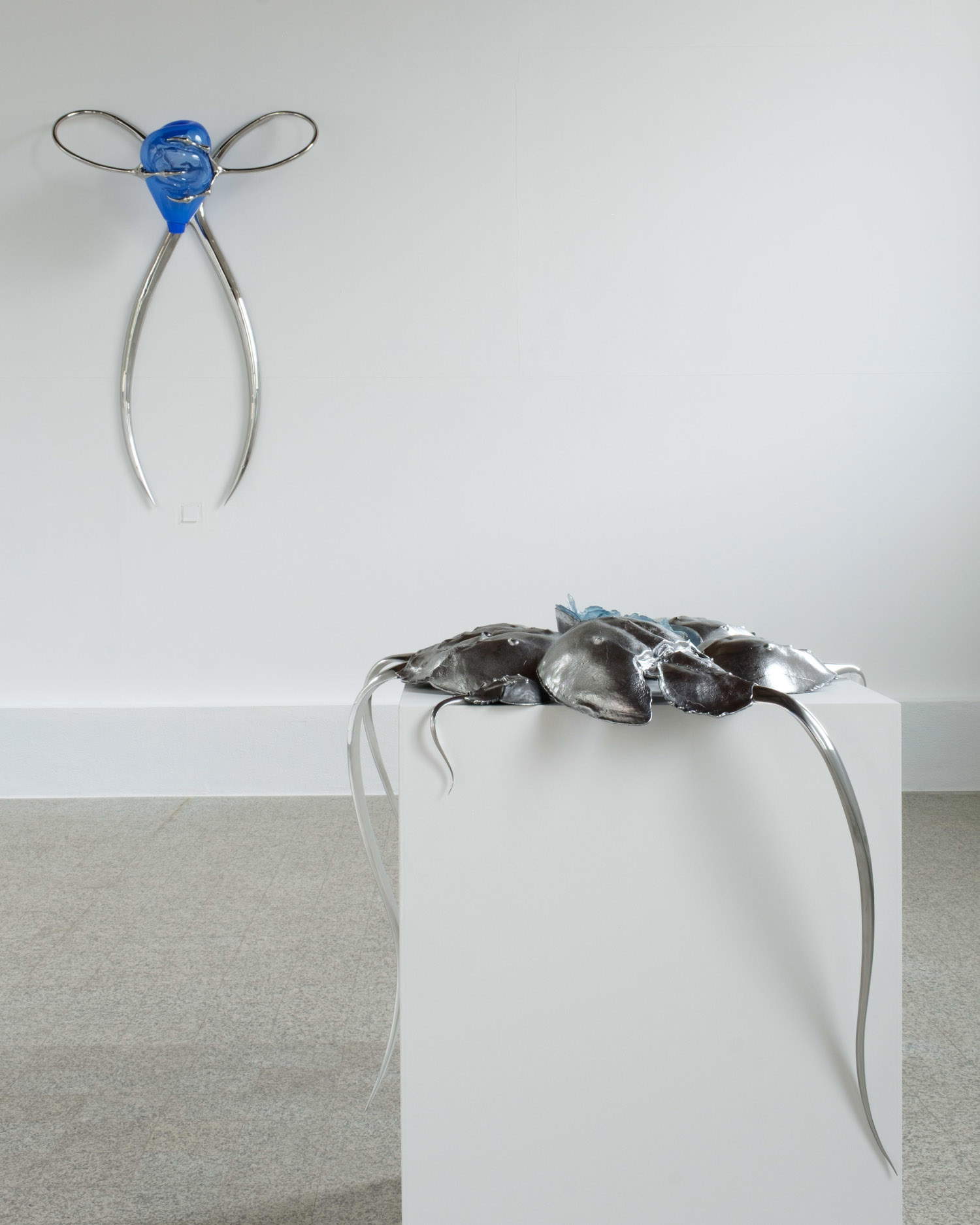 Hannah Levy, Blue Blooded &ndash; Sangue blu, allestimenti al Museo Nivola. Foto: Andrea Mignogna