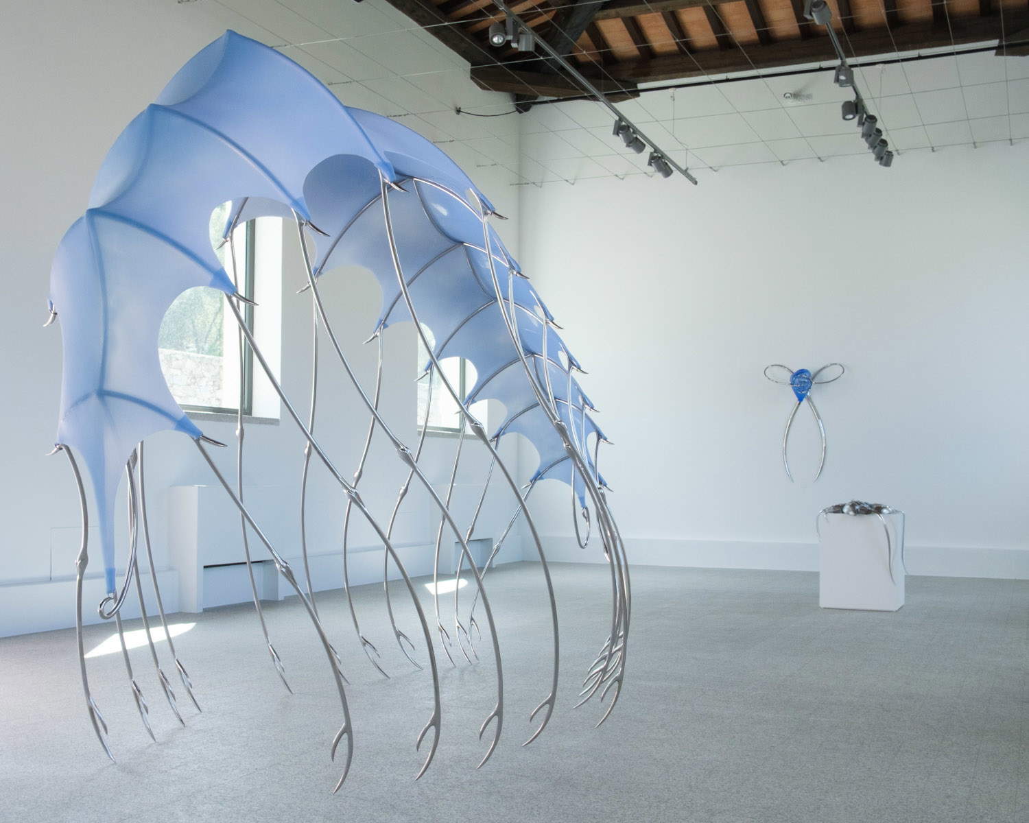 Hannah Levy, Blue Blooded &ndash; Sangue blu, allestimenti al Museo Nivola. Foto: Andrea Mignogna