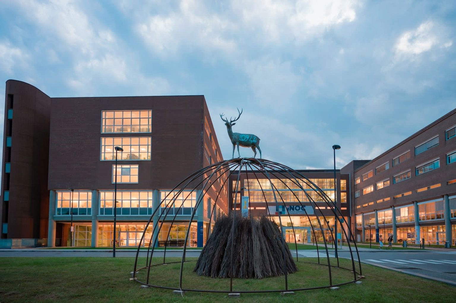 Mario Merz’s “Doppio Igloo di Porto” at INOC &ndash; Candiolo National Oncology Institute