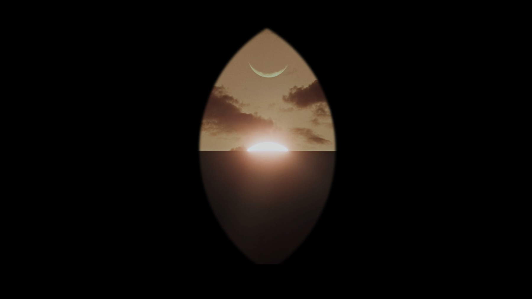 Jacqui Davies, *Cinematic Blossoming IV: Dark Matter* (2025)