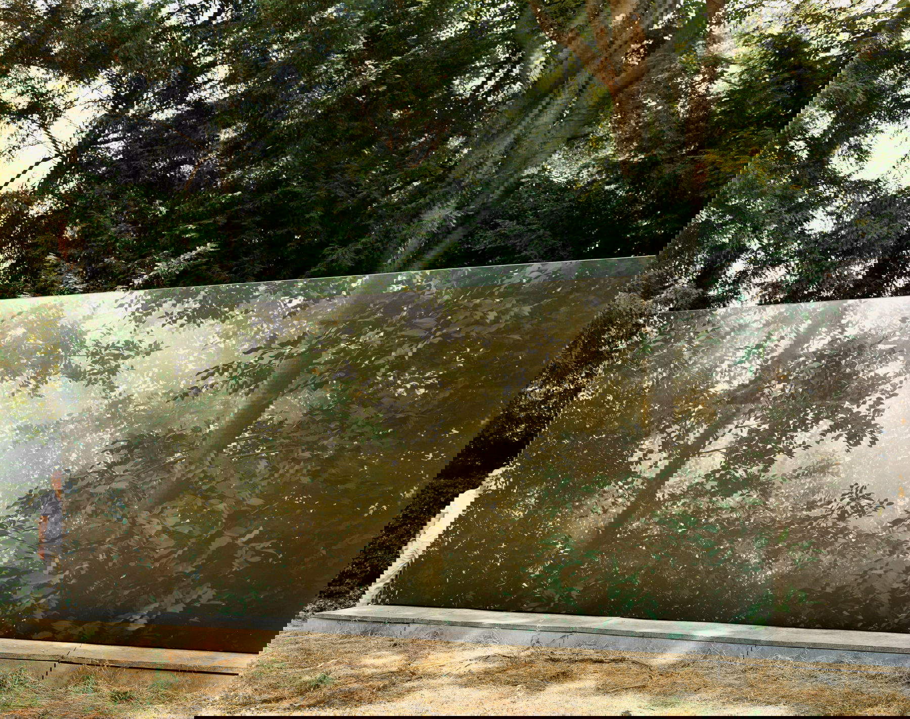 Jason Schmidt, Thomas Demand (2003; color photograph, 40.6 X 50.8 cm) Courtesy of the artist and Apalazzogallery. Photo: Alice Fiorilli.