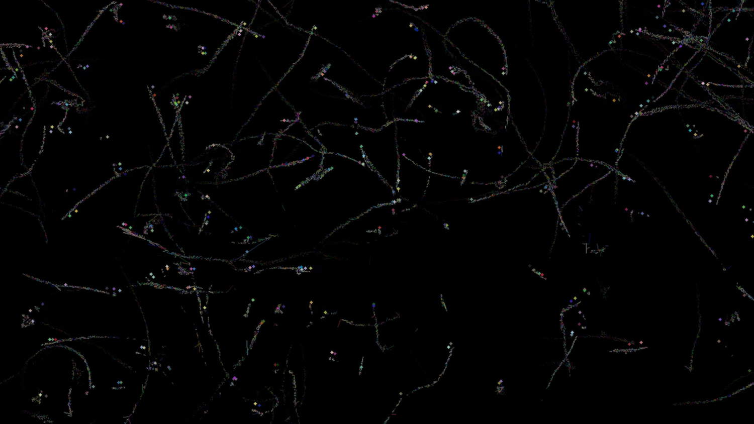 Jenna Sutela, nimiia cétiï (2018 ; vidéo)