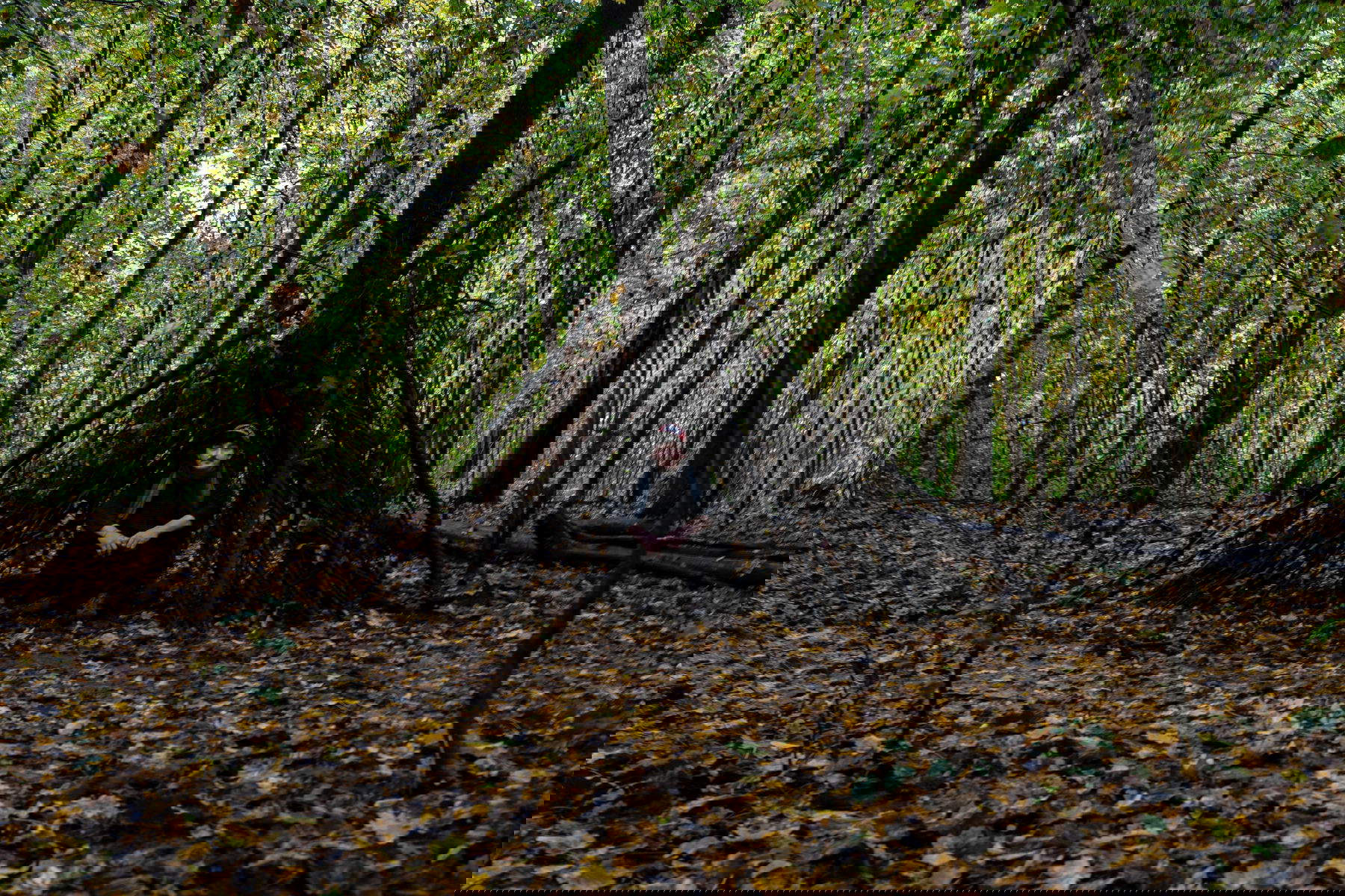 Kaspar Ludwig. Photo: Charles Benjamin