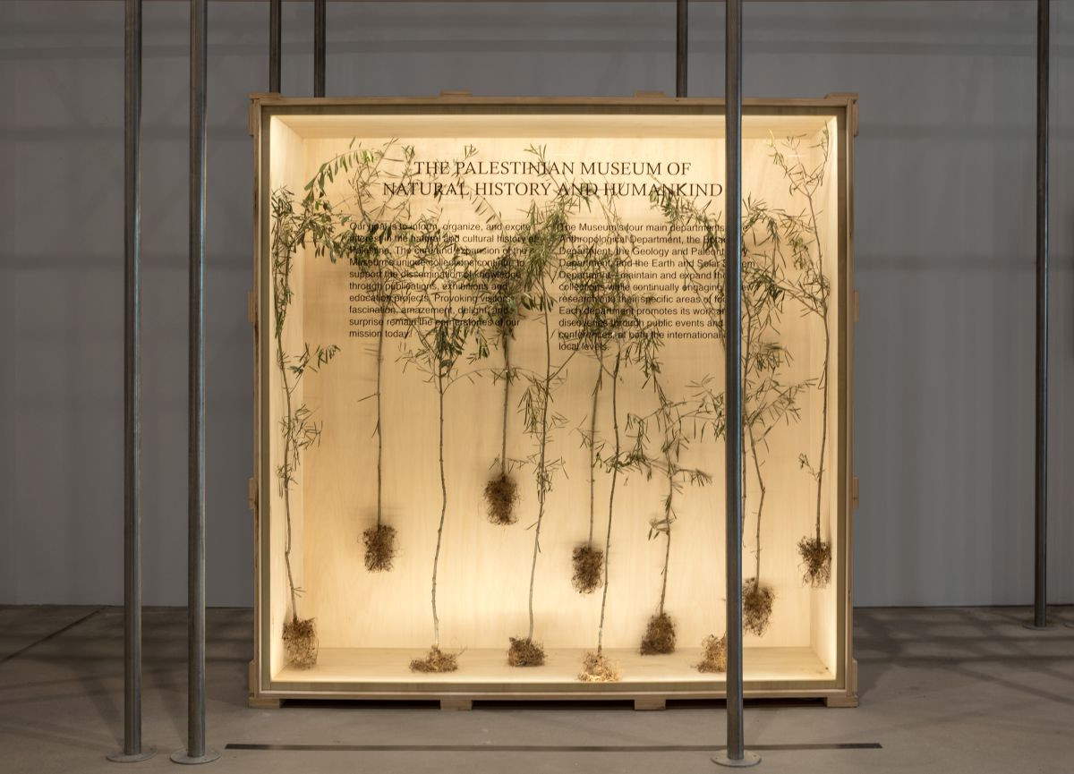 Khalil Rabah, Abaout the Museum (2004-2011; Holzkiste, Glas, 11 Olivenbäume, Text). Mit freundlicher Genehmigung des Künstlers