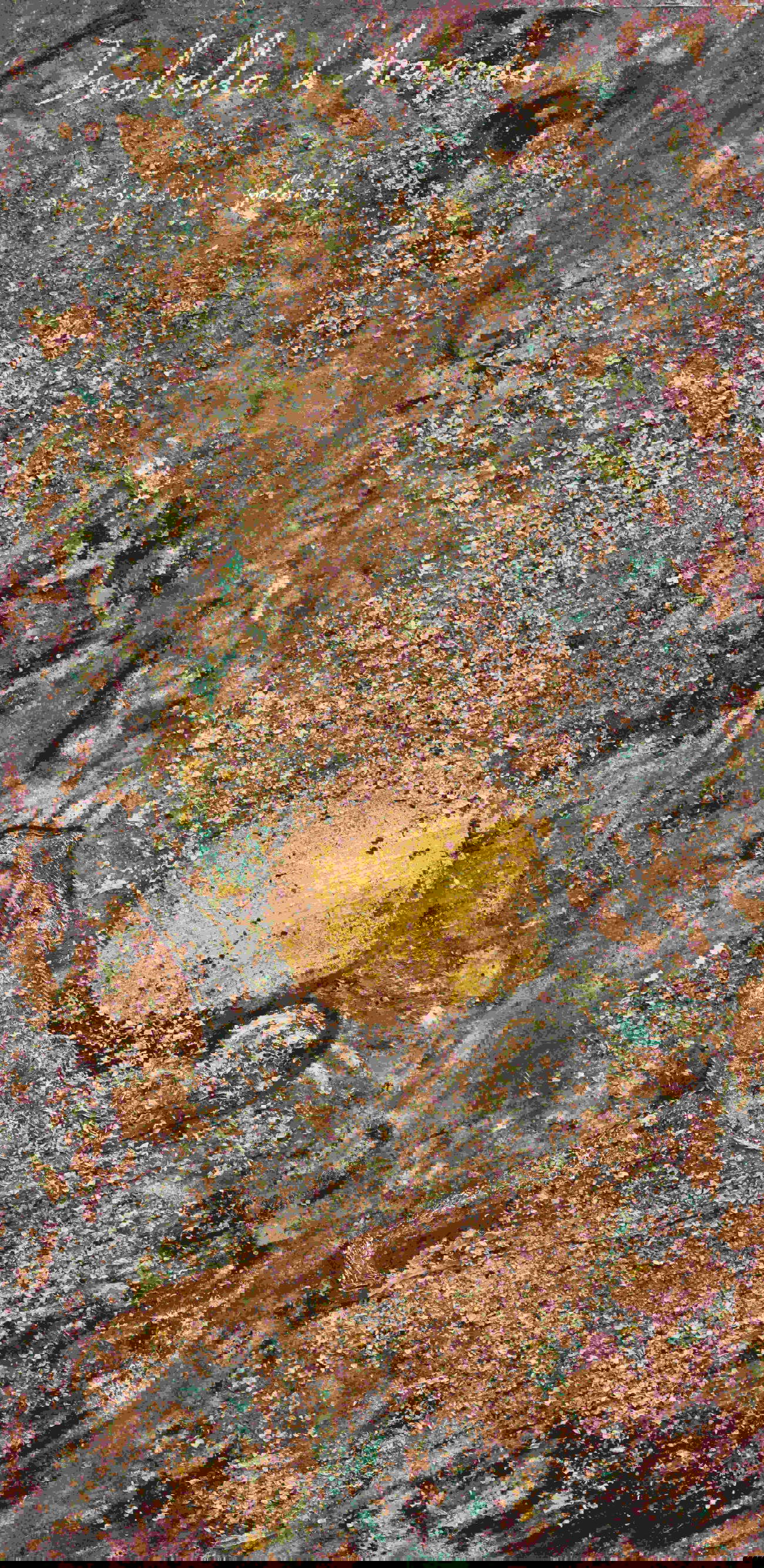 Anselm Kiefer, Isabella d&rsquo;Aragona (2025; emulsione, olio, acrilico, gommalacca, foglia d&rsquo;oro, foglia d&rsquo;argento, sedimento di elettrolisi, fiori essiccati, paglia e collage di tela su tela, 570 x 280 cm) &copy; Anselm Kiefer. Foto: Nina Slavcheva