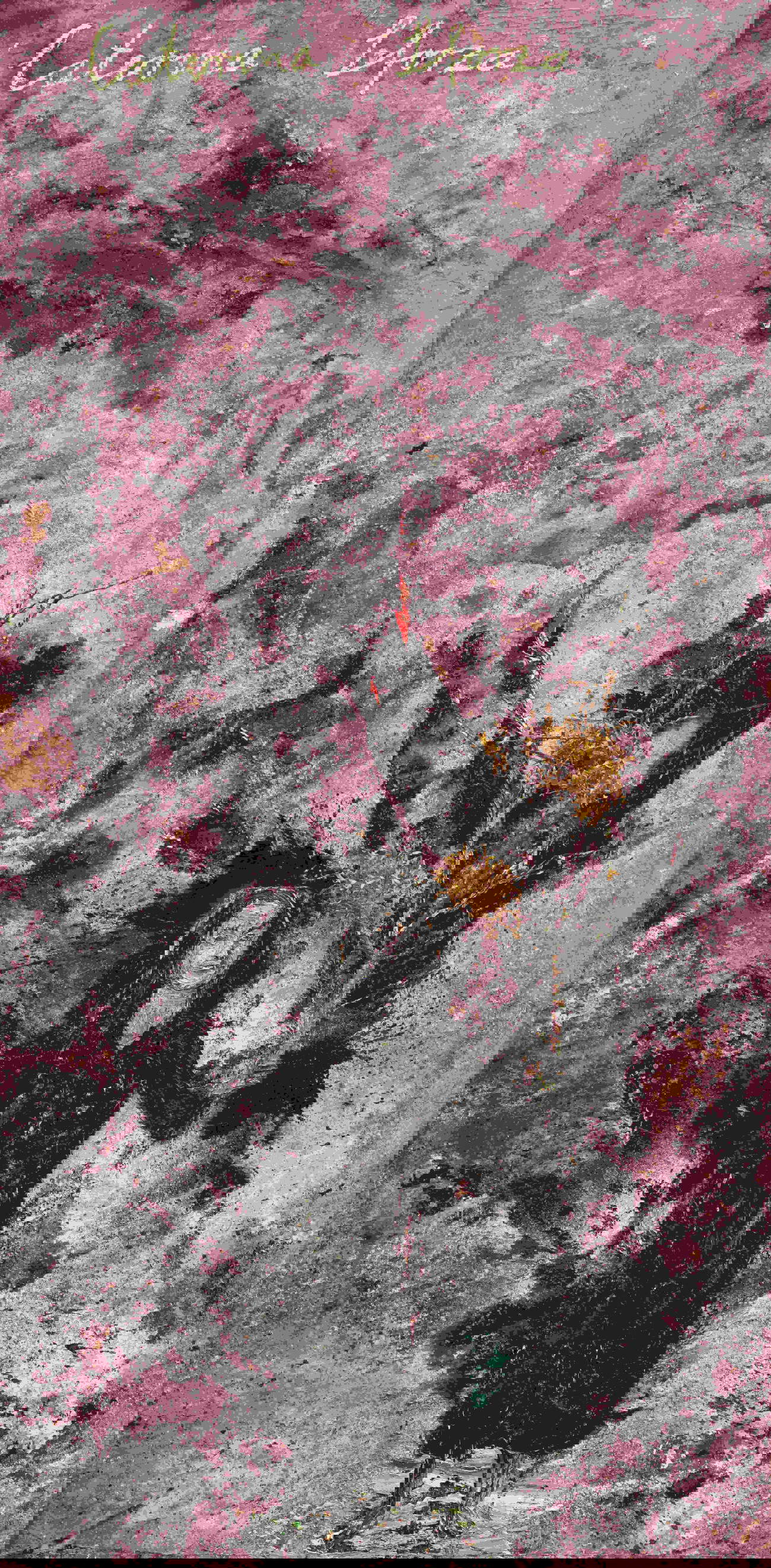 Anselm Kiefer, Caterina Sforza (2025; emulsione, olio, acrilico, gommalacca, foglia d&rsquo;oro, sedimento di elettrolisi, vischio essiccato, paglia, filo metallico, argilla e collage di tela su tela, 570 x 280 cm) &copy; Anselm Kiefer. Foto: Nina Slavcheva