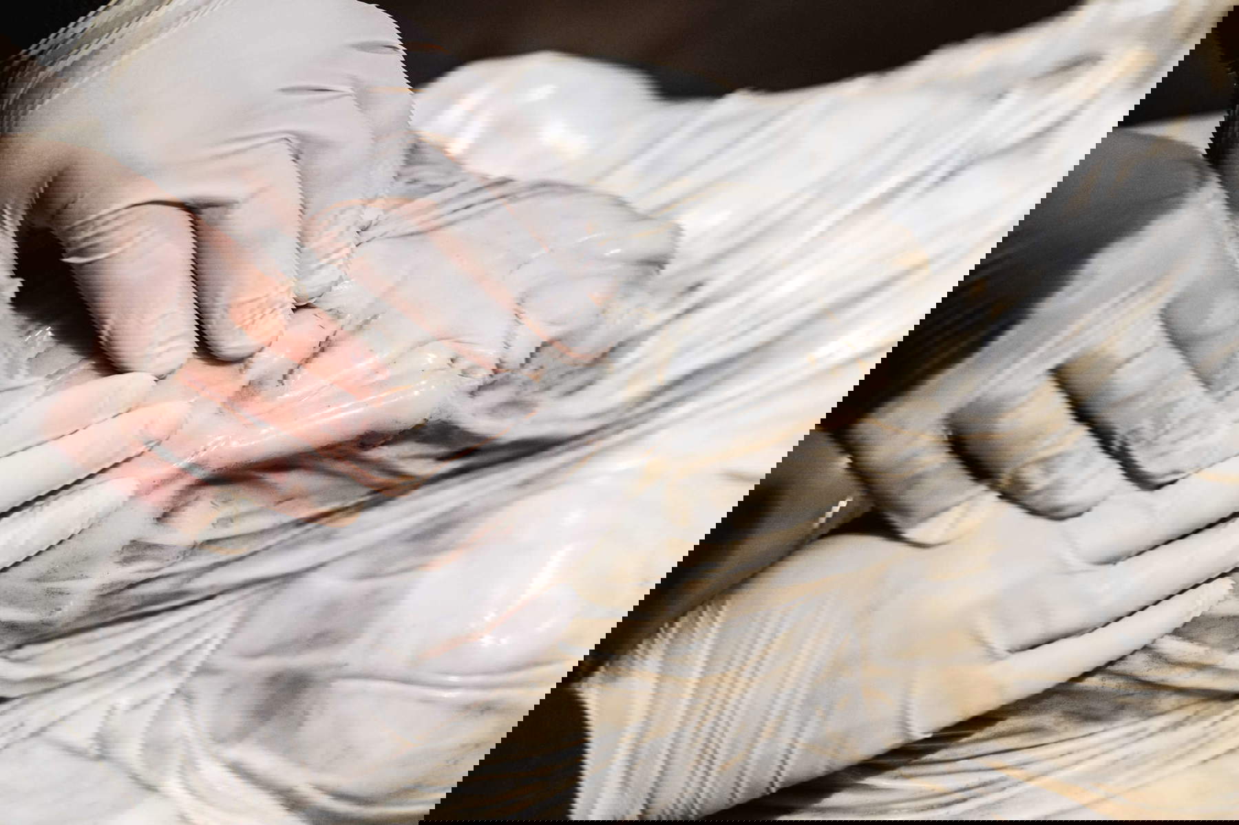 La maravilla al alcance de la mano, Capilla Sansevero, Nápoles. Foto: Andrea Salzillo para Rive Studio