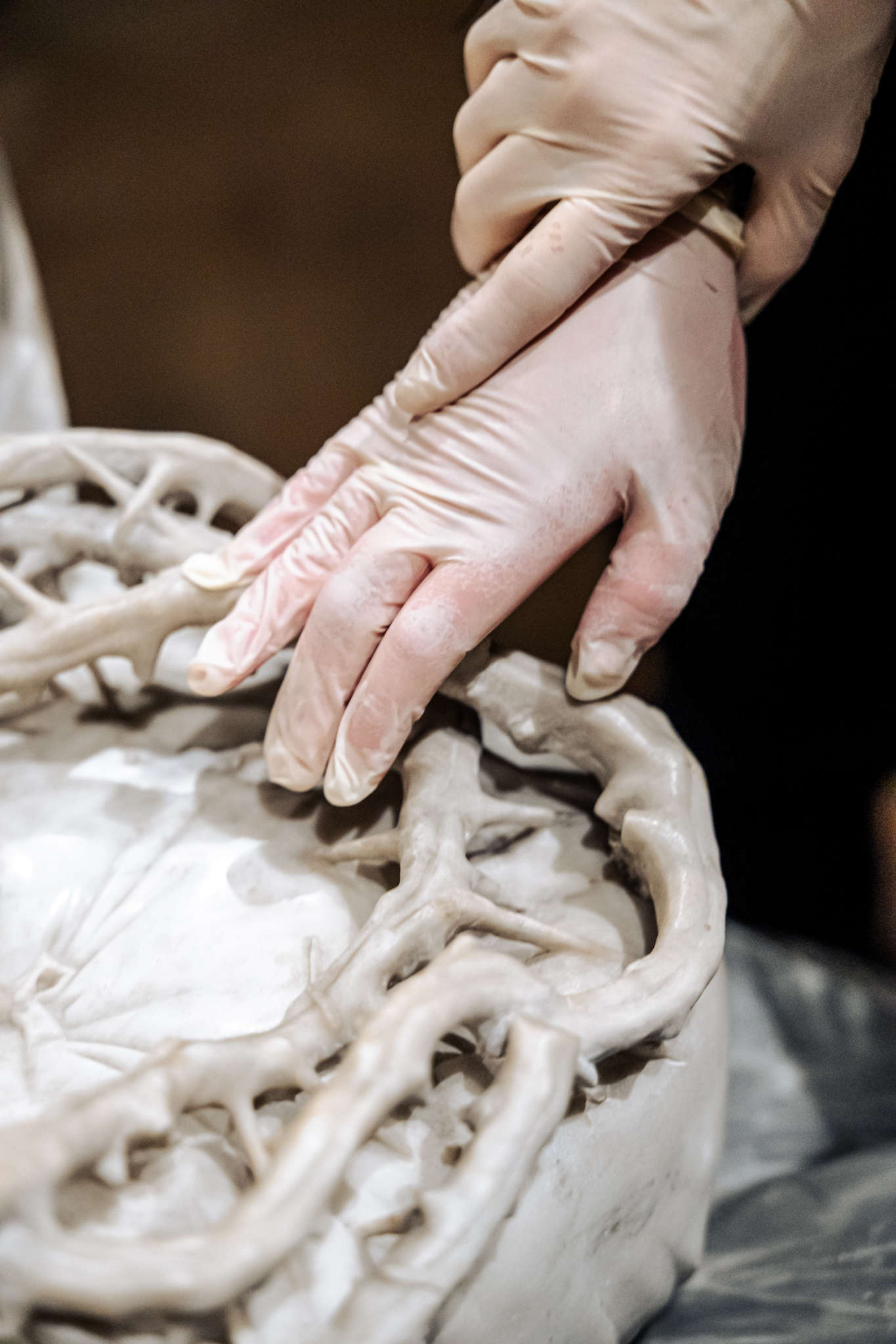 La maravilla al alcance de la mano, Capilla Sansevero, Nápoles. Foto: Andrea Salzillo para Rive Studio