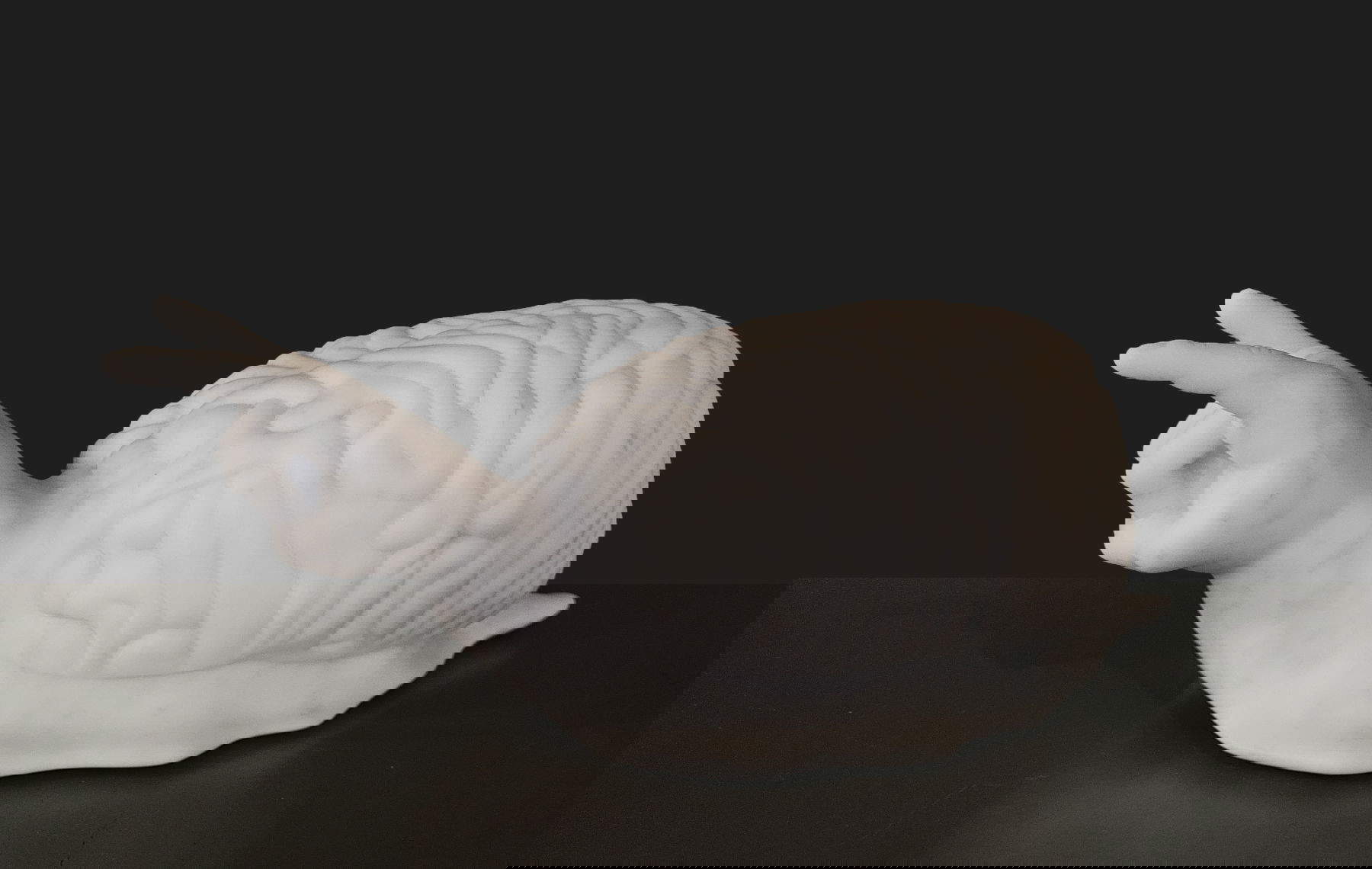 Leandro Erlich, Caracol - The Pace of Evolution Year (2021; Carrara White marble) Courtesy of Leandro Erlich Studio