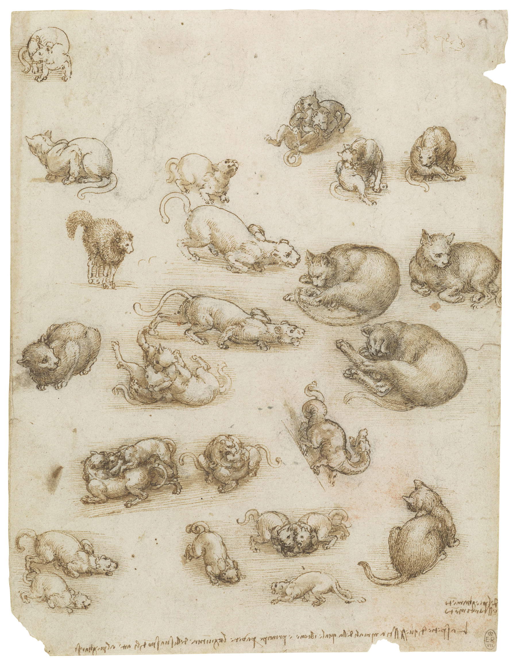 Leonardo da Vinci, Cats, Lions and a Dragon (c. 1517-1518), RCIN 912363r &copy; Royal Collection Enterprises Ltd 2026 | Royal Collection Trust