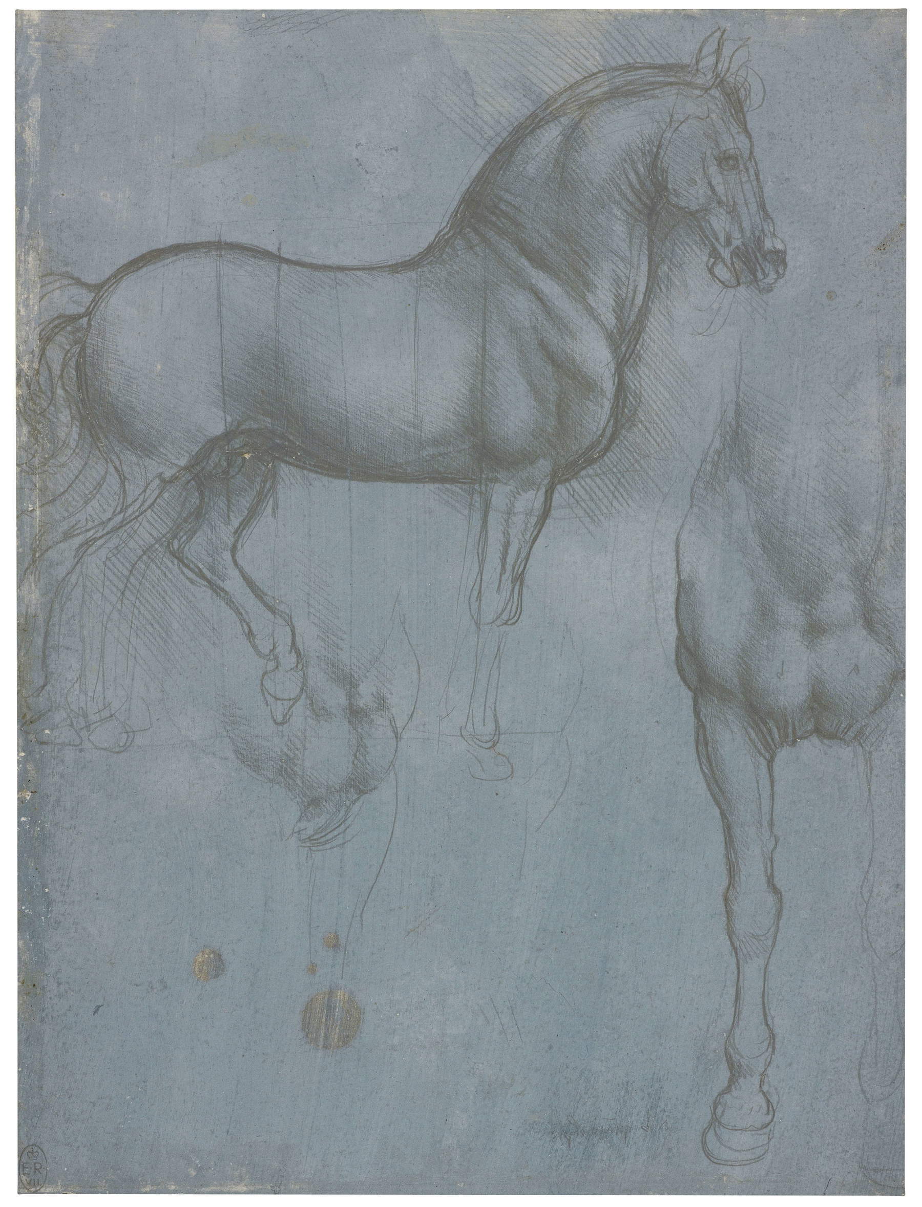 Leonardo da Vinci, Studies of Horses (c. 1490), RCIN 912321r &copy; Royal Collection Enterprises Ltd 2026 | Royal Collection Trust