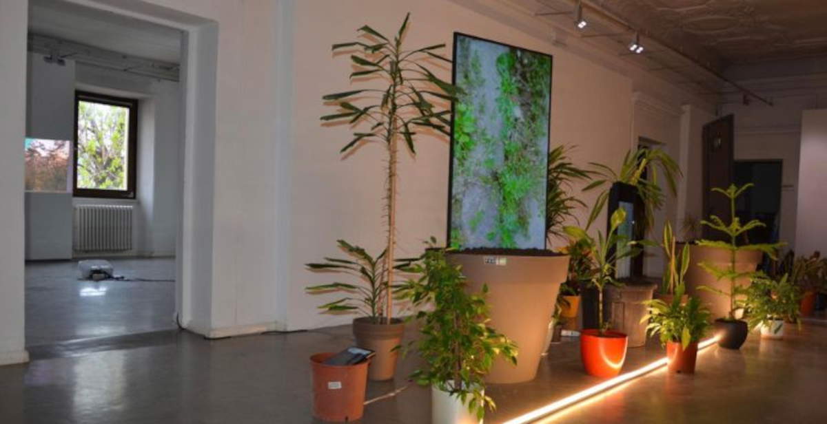 Cavalese Museum launches Performa: three weeks of performance art and research