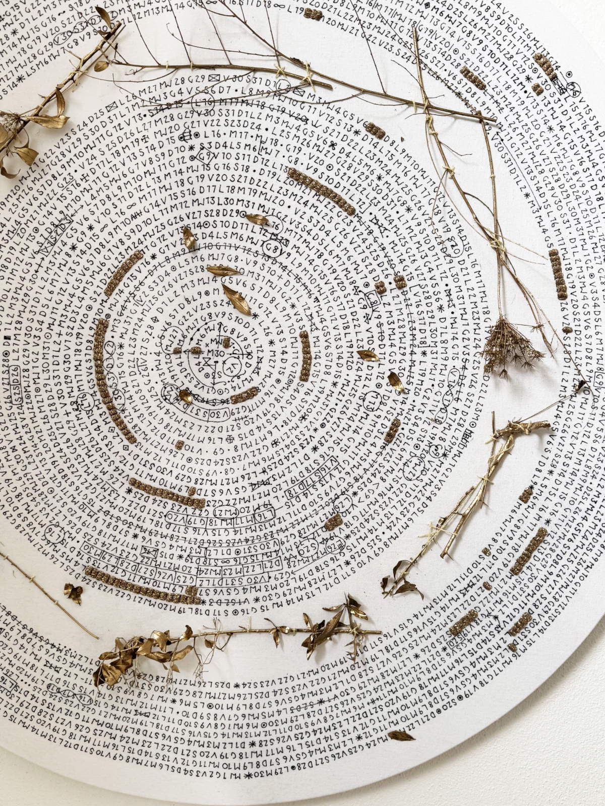 Viento de calendario, detalle - escritura en tinta, fragmentos vegetales y ramas secas - pintura dorada y bordado sobre lámina enmarcada (2025-2026). Cortesía del artista