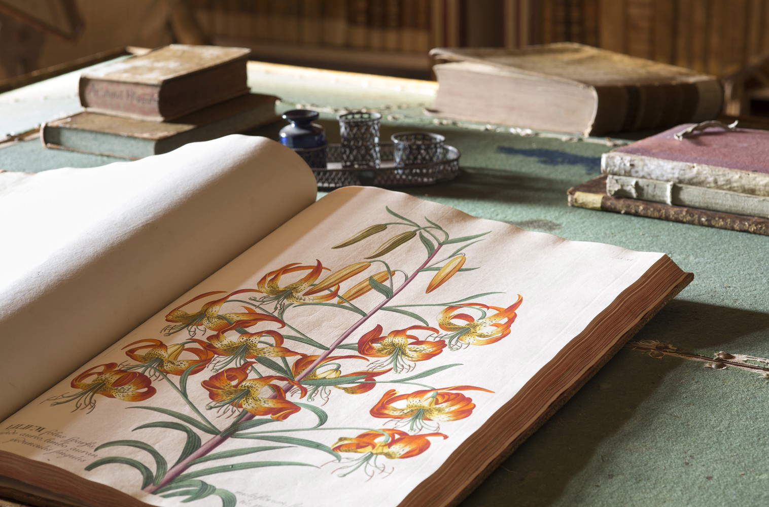 Libri antichi. Foto: arenaimmagini.it, 2020 &copy; FAI