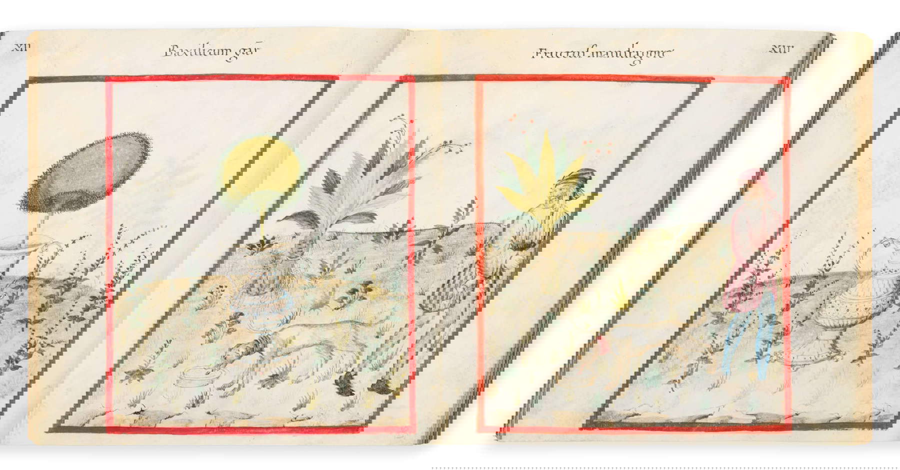 Liechtenstein Tacuinum Sanitatis (Padua, c. 1450; Latin manuscript on parchment, 68 folios, 130 full-page miniatures, 19th-century binding, 160 x 170 mm)