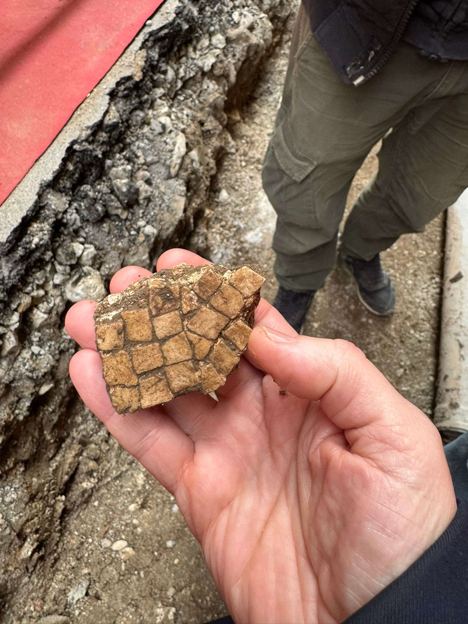 Loano, Roman remains unearthed. Photo: Municipality of Loano