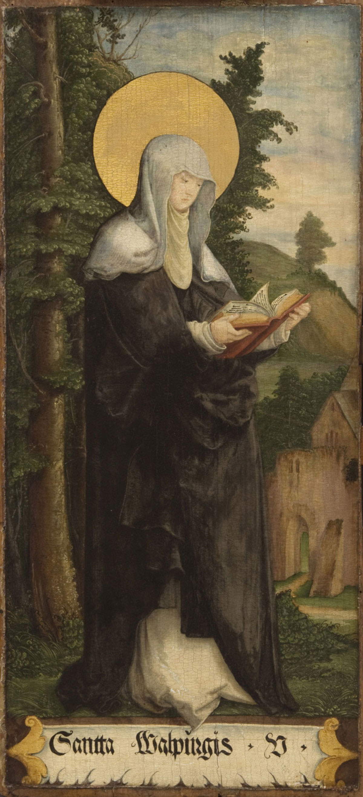 Meister von Messkirch, Heilige Walpurga (um 1535-1540; Öl und Gold auf Tafel, 61,9 &times; 28,6 cm; Philadelphia, Philadelphia Museum of Art, Kat. 723) Foto: Wikimedia Commons