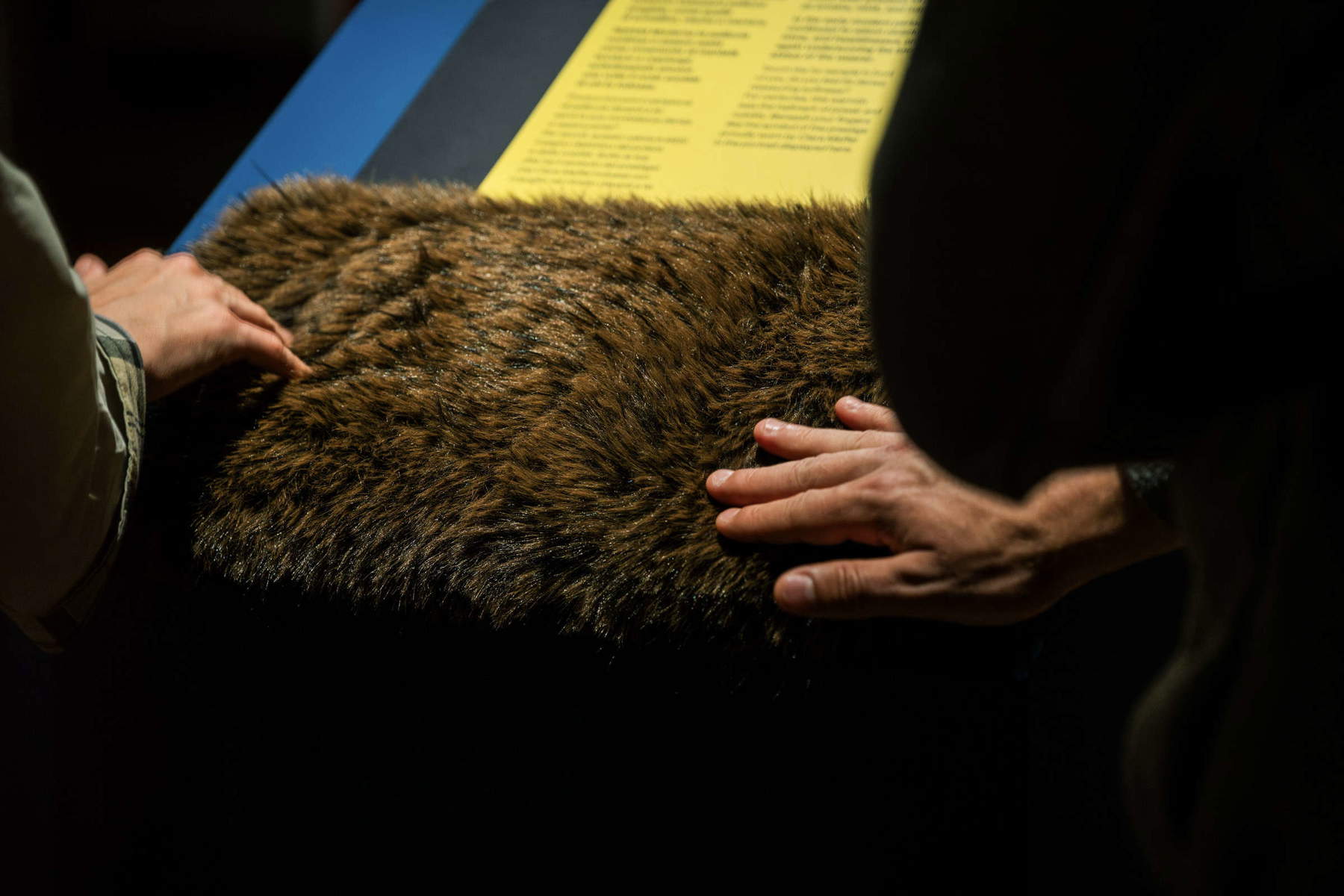 Musée de l'Alto Garda, parcours accessibles et multisensoriels. Photo : Musée de l'Alto Garda