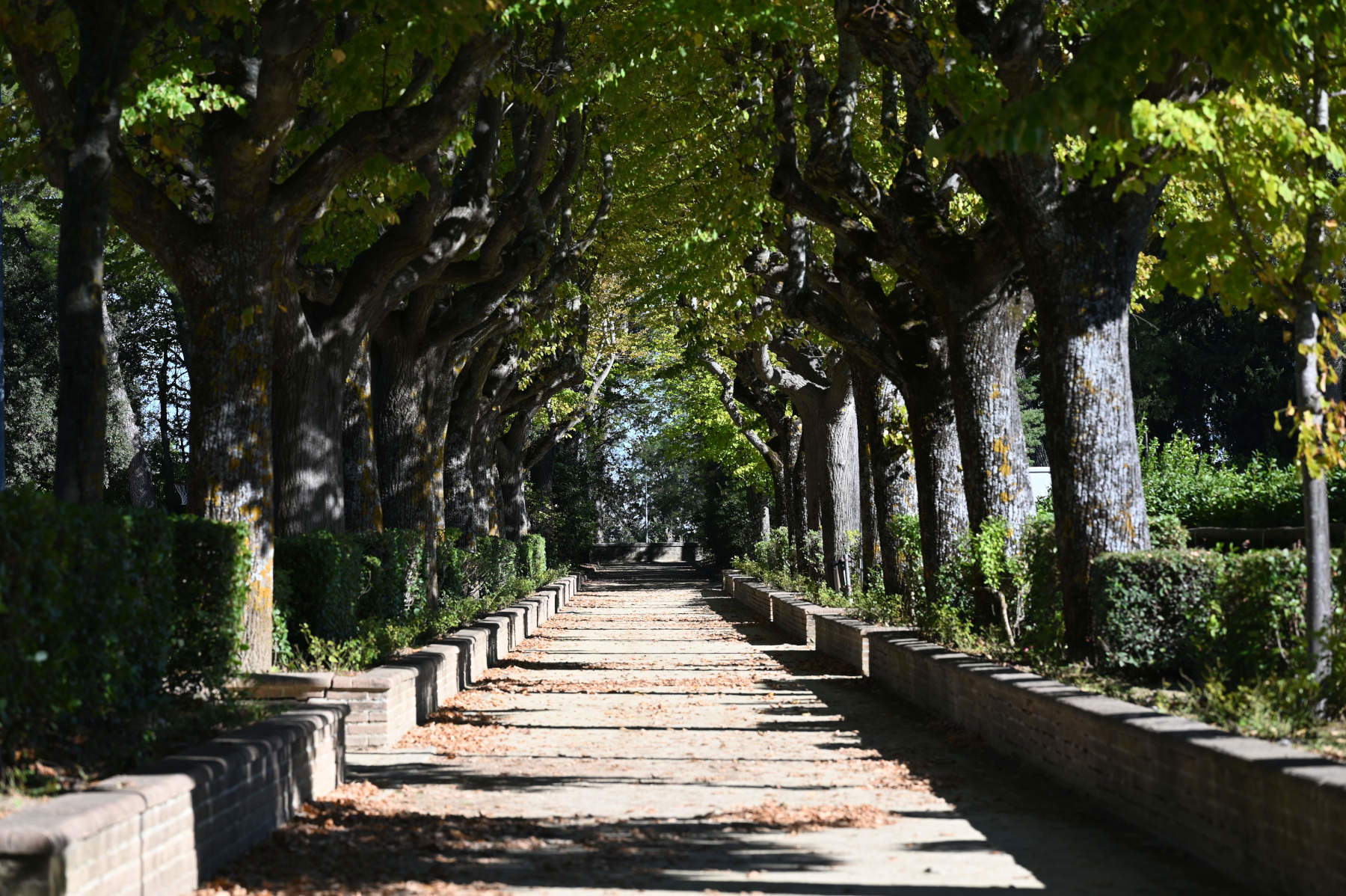 Maiolati Spontini, Parco Colle Celeste. Foto: Fondazione Marche Cultura