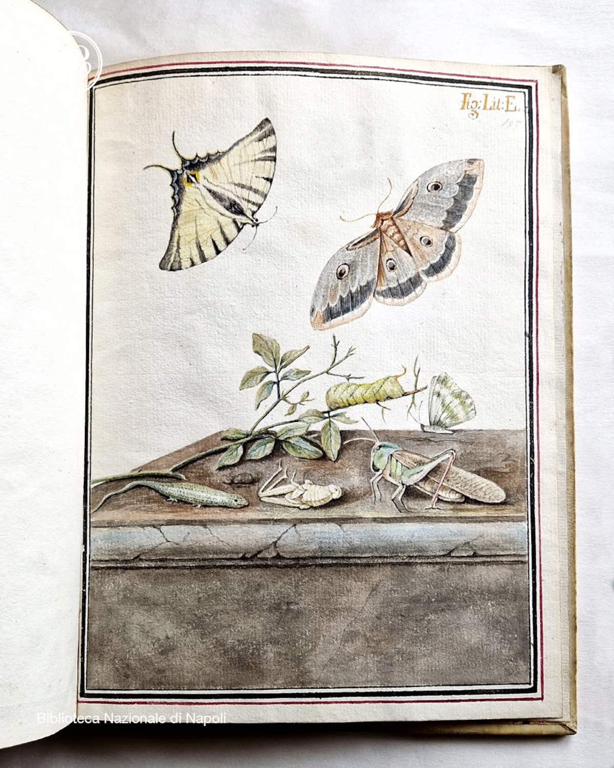 Foto: Nationalbibliothek von Neapel