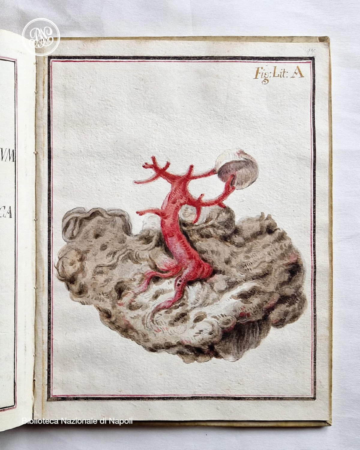 Foto: Nationalbibliothek von Neapel