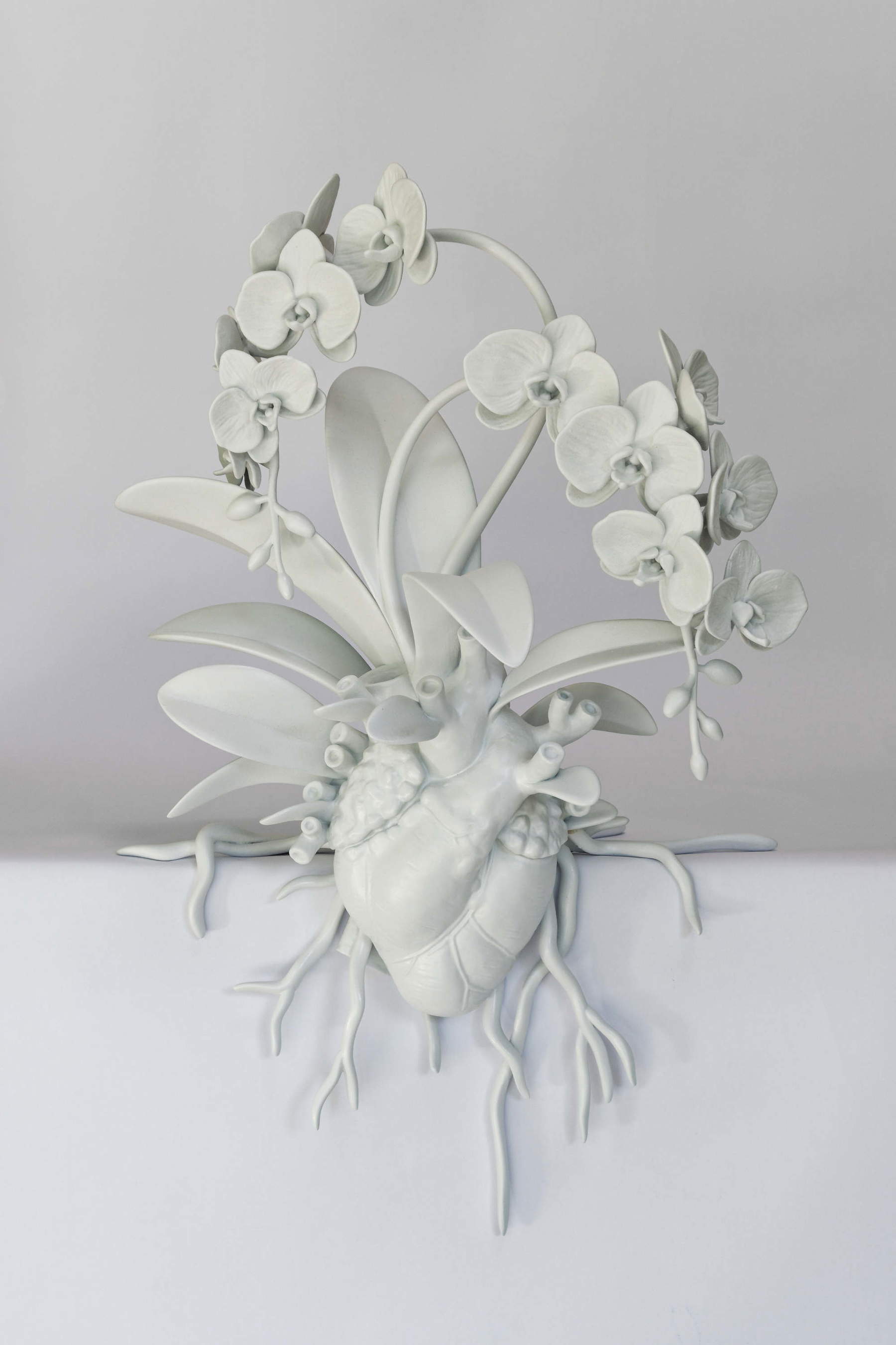 Marcantonio, Herz mit Orchidee (2025)