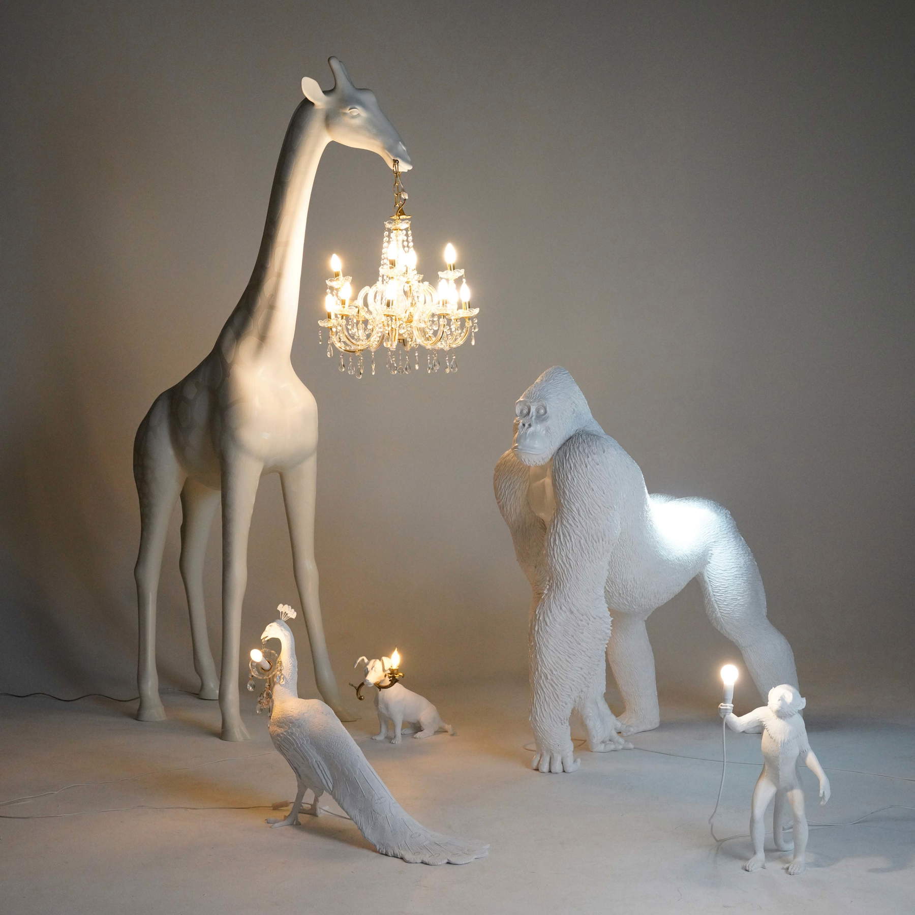 Marcantonio, „Giraffe in love“ (2019)