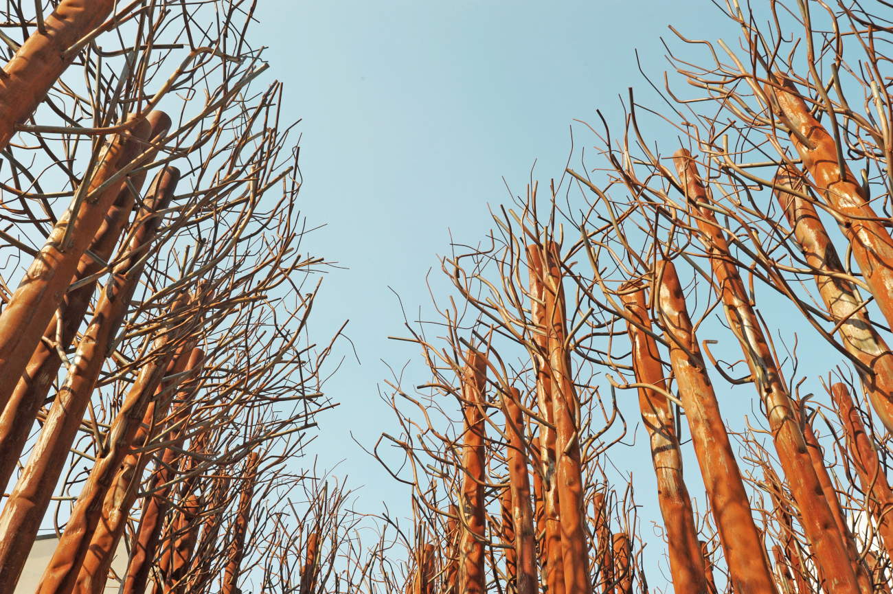 Maria Cristina Carlini's Sustainable Sculpture at the Royal Palace in Milan 