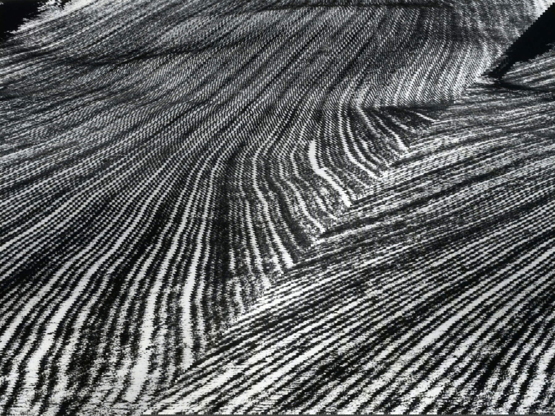 Mario Giacomelli, Paesaggio,1983-2004