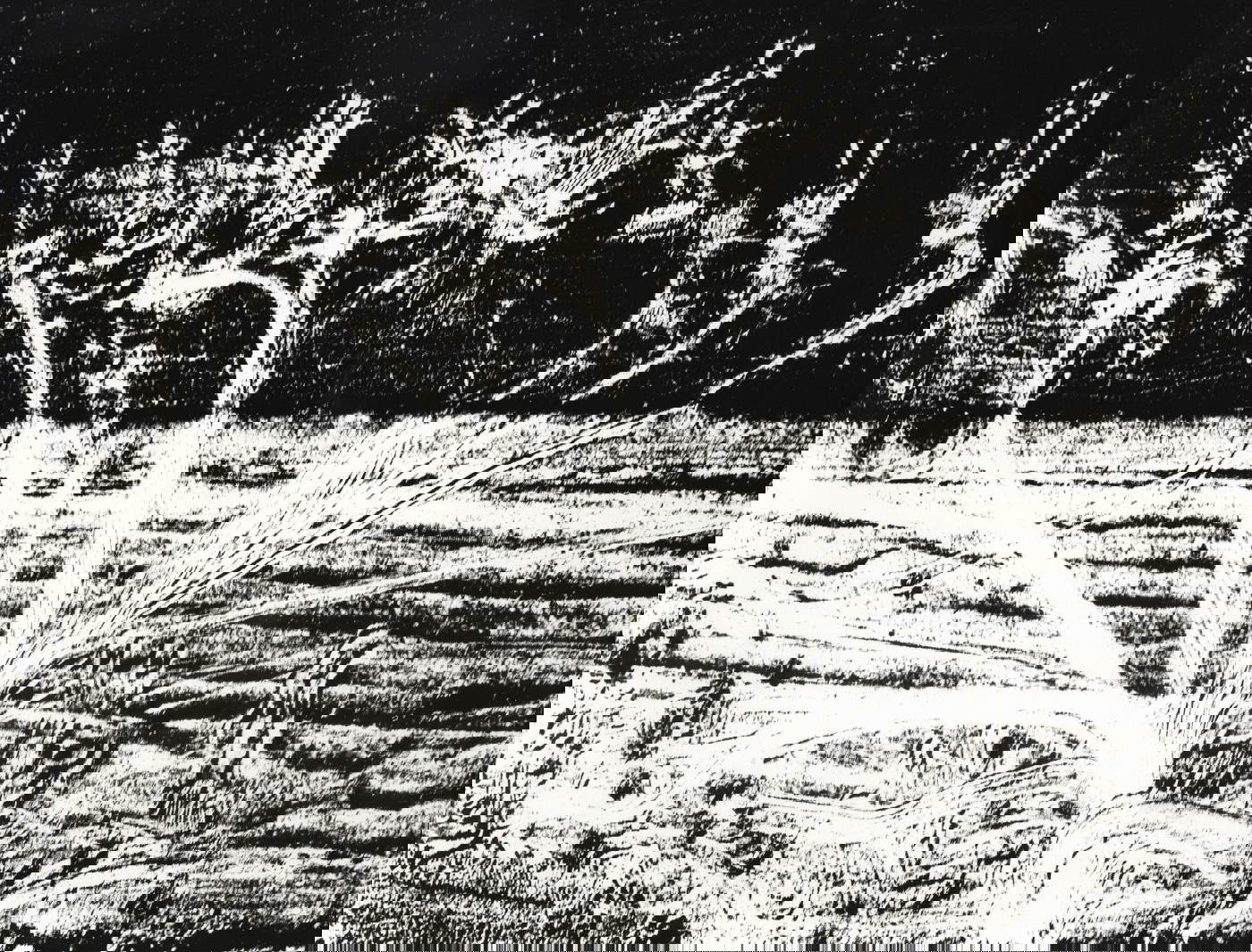 Mario Giacomelli, Presa di coscienza sulla natura (1976-1980). Por concesión del Archivio Mario Giacomelli