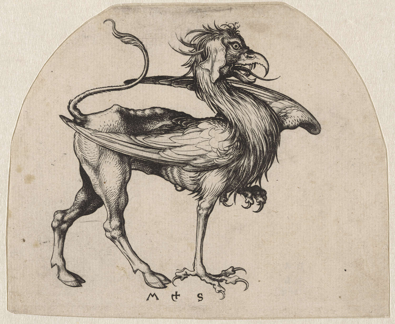 Martin Schongauer, Griffin &copy; GrandPalaisRmn (mus&eacute;e du Louvre), Tony Querrec