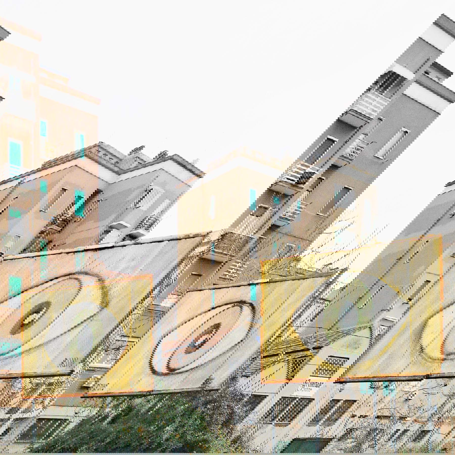 Massimo Baldini, Mint Eyes (2024; fotografía en color, 180 x 180 cm, sobre tela blockout)