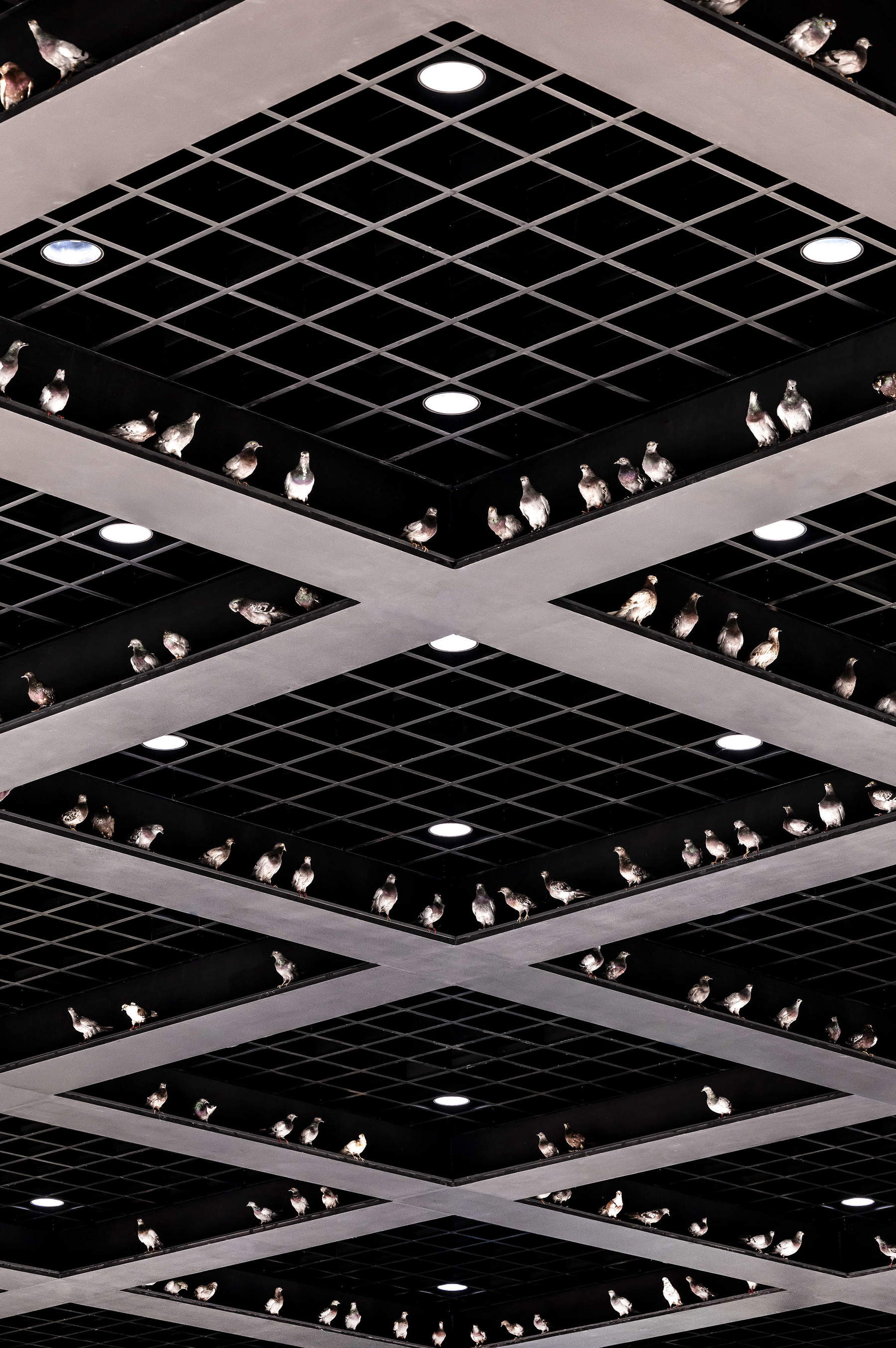 Maurizio Cattelan, NIGHT, installations. Photo: David von Becker &copy; Neue Nationalgalerie &ndash; Stiftung Preu&szlig;ischer Kulturbesitz