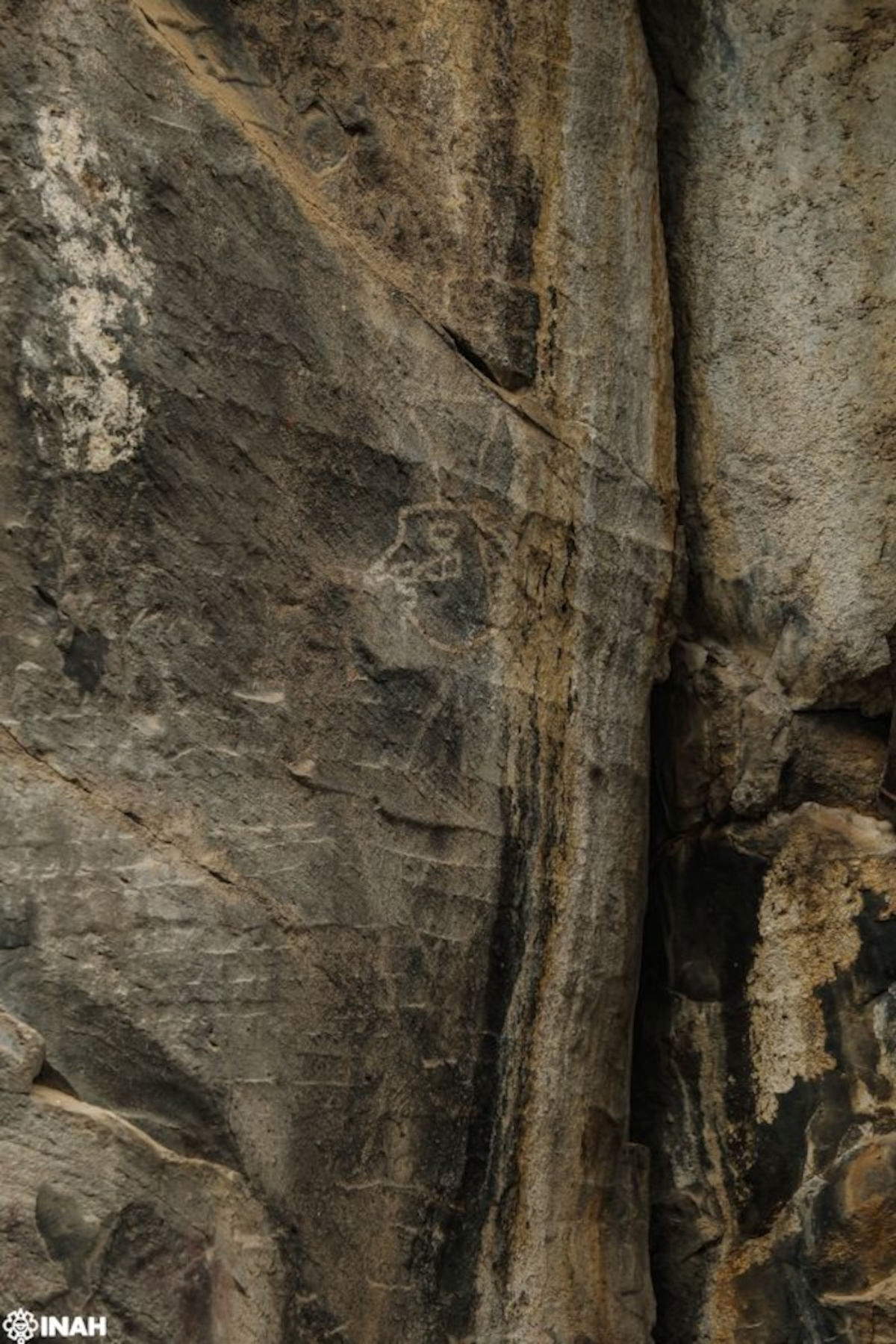 Peintures rupestres découvertes à El Venado, État d'Hidalgo (Mexique). Photo : Gerardo Pe&ntilde;a, INAH.