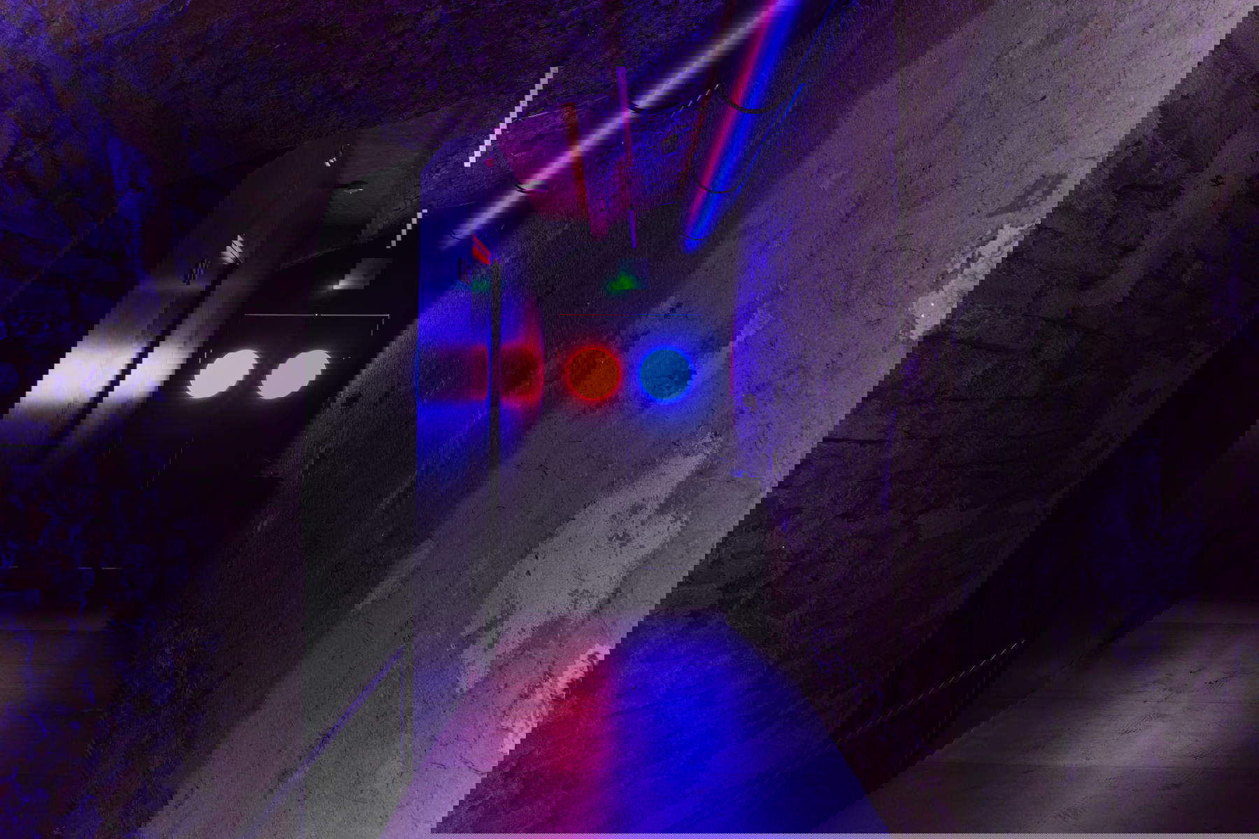 Installation pour l'exposition CC by Michael E. Smith, organisée par Simone Menegoi et Tommaso Pasquali, Palazzo Bentivoglio, Bologne, 2025. Photo : Carlo Favero