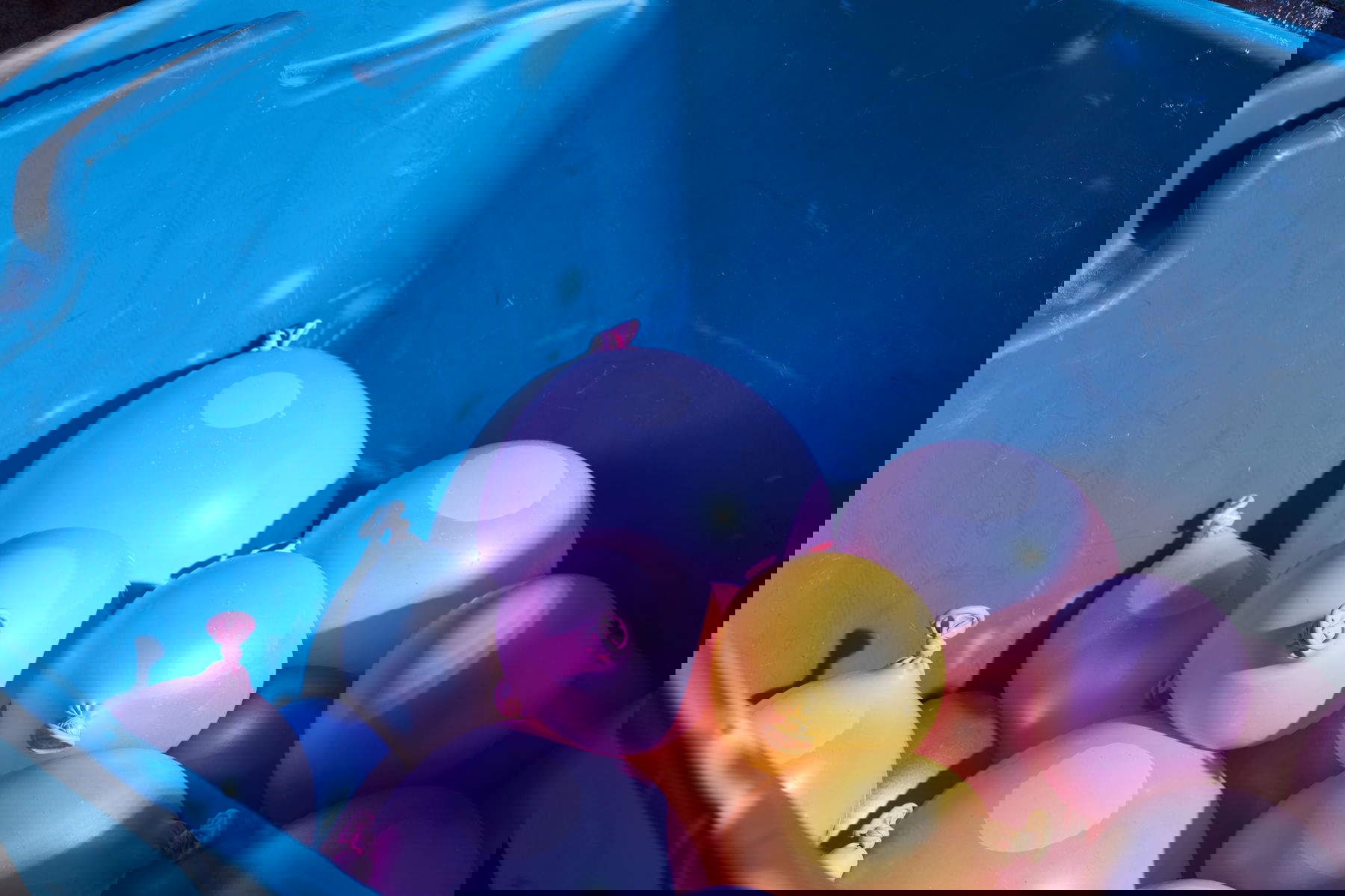 Installation pour l'exposition CC by Michael E. Smith, organisée par Simone Menegoi et Tommaso Pasquali, Palazzo Bentivoglio, Bologne, 2025. Photo : Carlo Favero