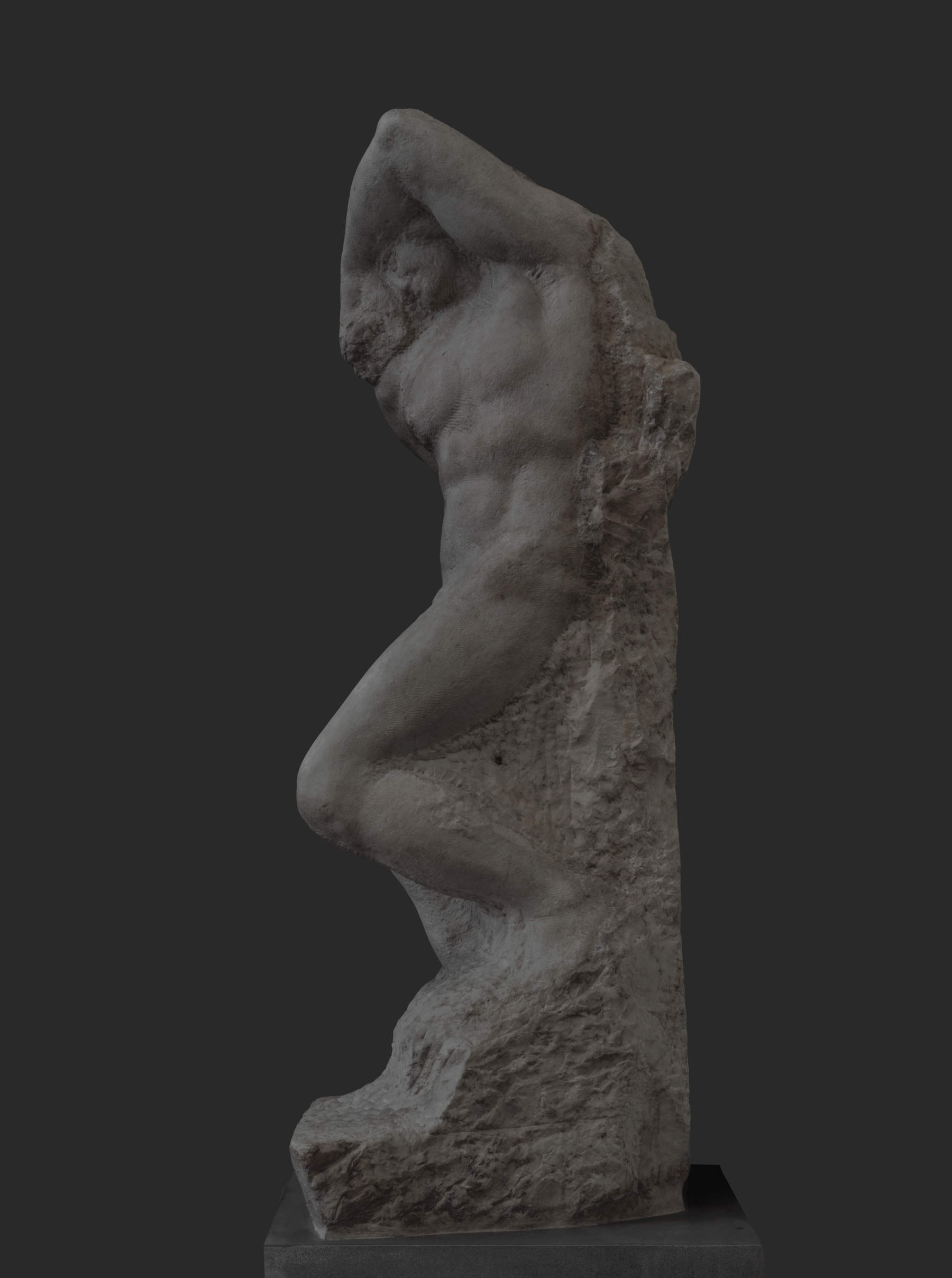 Michelangelo Buonarroti, Prigione detto Schiavo giovane (1519-1534 circa, scultura in marmo bianco di Carrara; Firenze, Galleria dell&rsquo;Accademia di Firenze e Musei del Bargello, inv. Sculture 1914 n. 1079) Foto: Antonio Quattrone