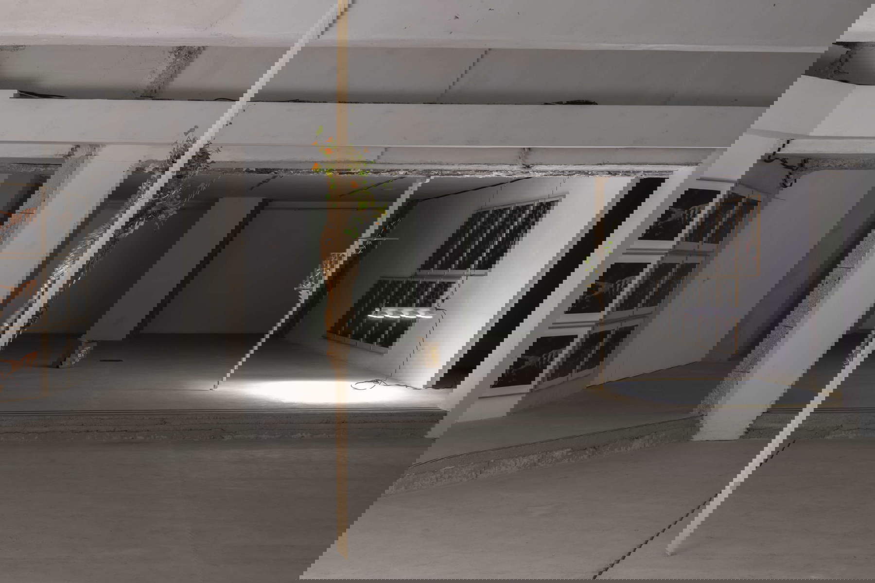 Planos de la exposición. Foto: Giorgio Benni. En concesión de la Fondazione Del Roscio