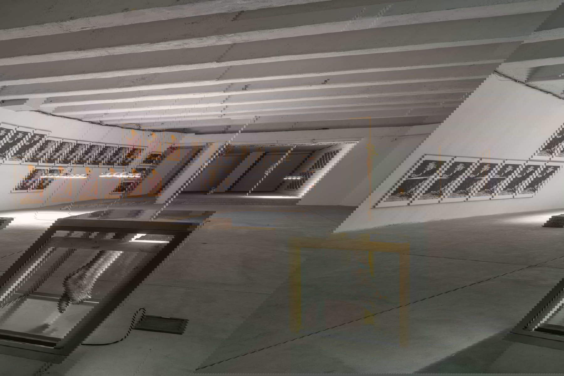 Planos de la exposición. Foto: Giorgio Benni. En concesión de la Fondazione Del Roscio