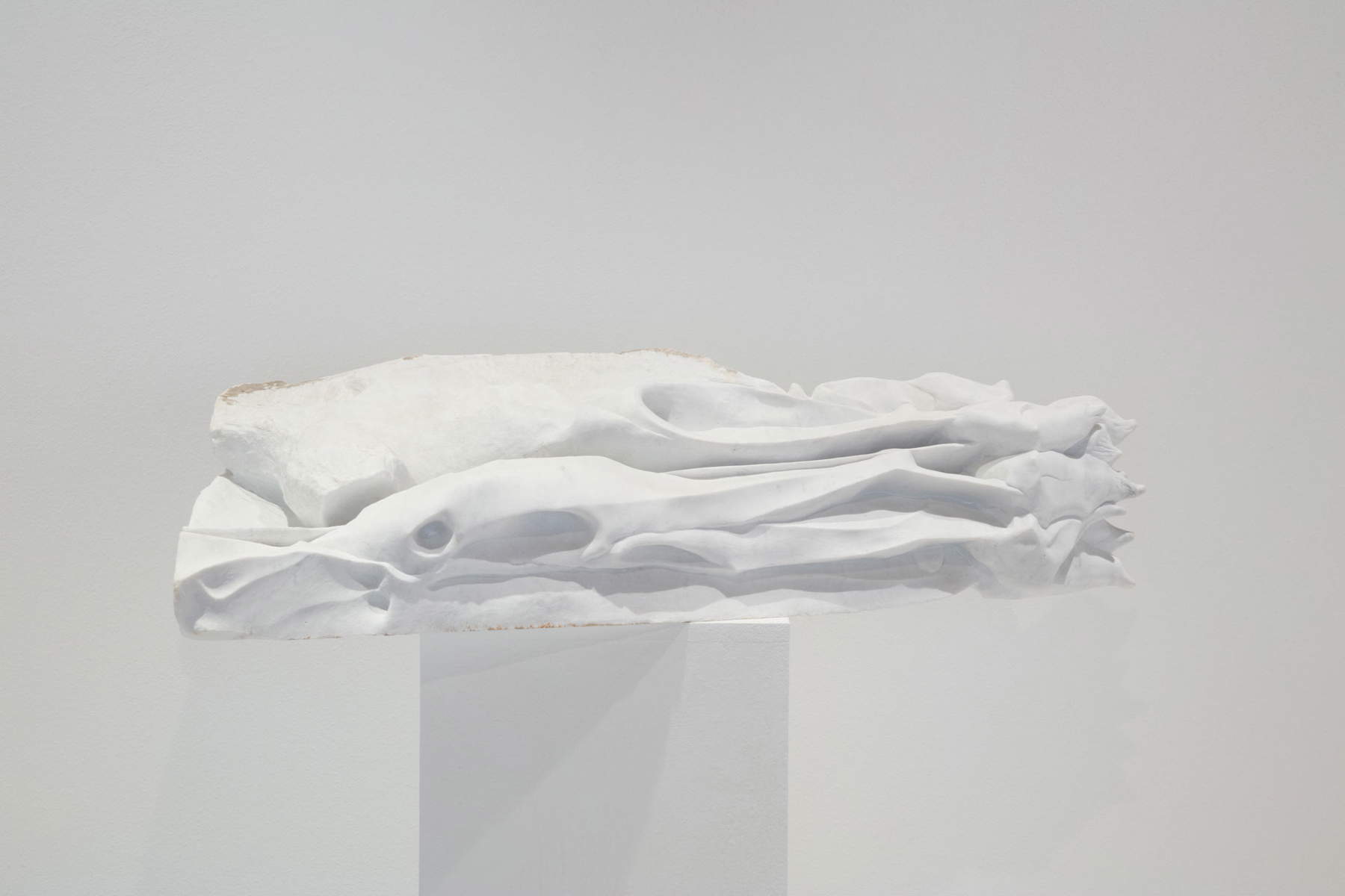 Ausstellungsgestaltung