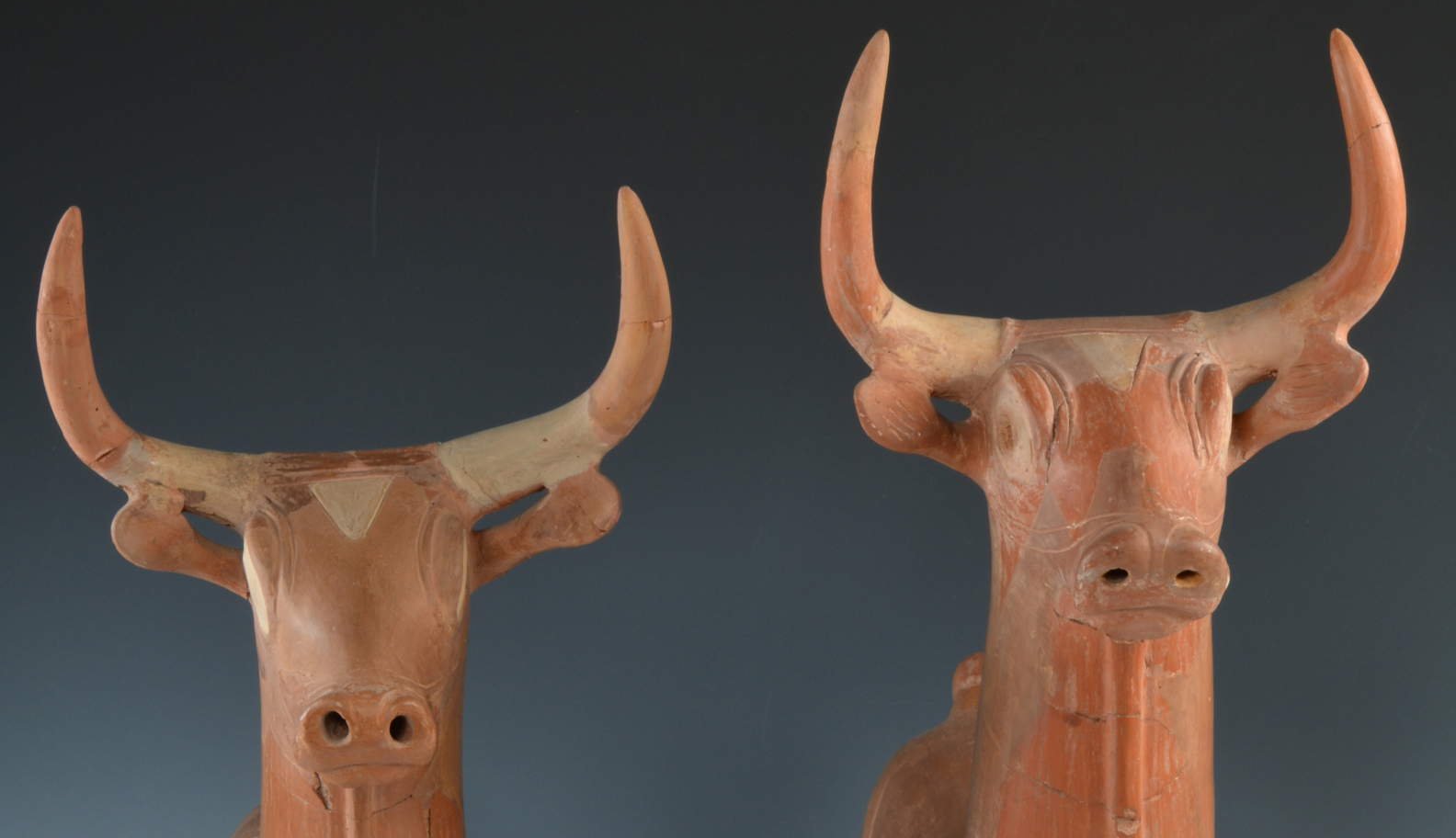 Im archäologischen Park des Kolosseums ist eine Ausstellung über Troja und Rom mit über 300 Artefakten zu sehen. 