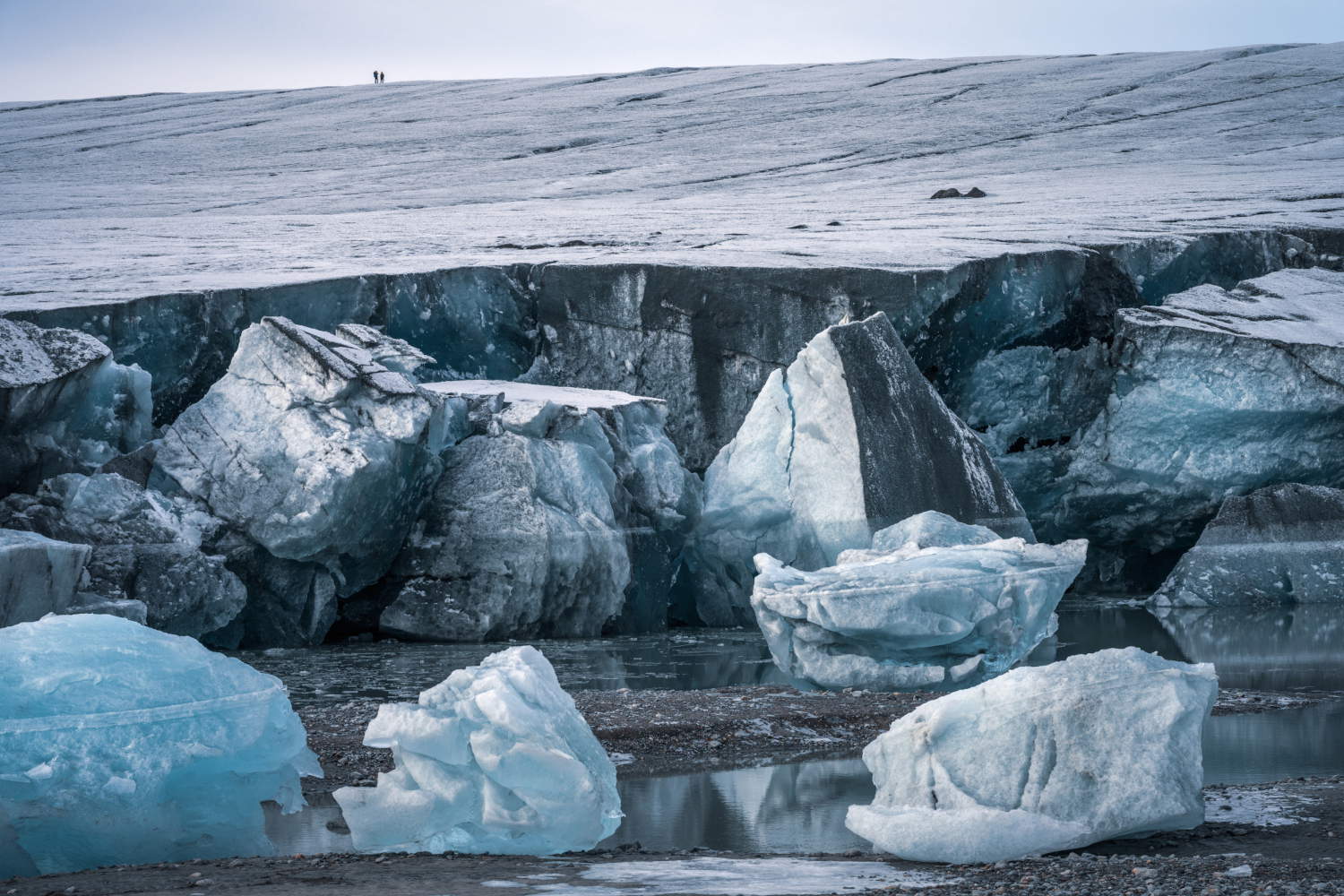 Foto: MUSE - Yuri Santini