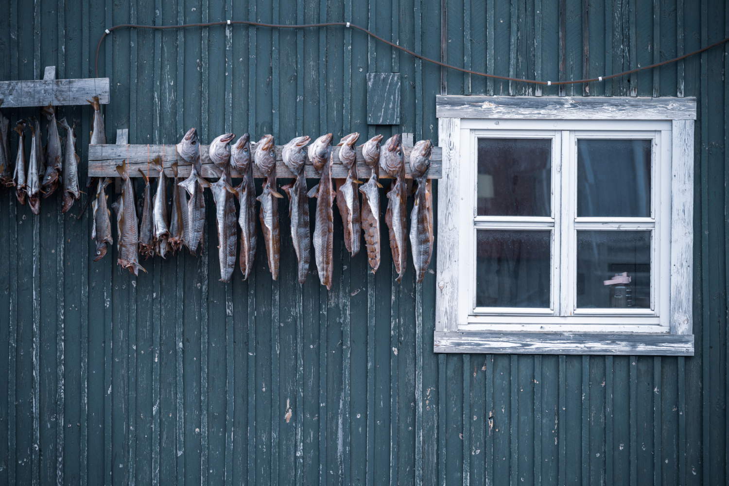 Foto: MUSE - Yuri Santini